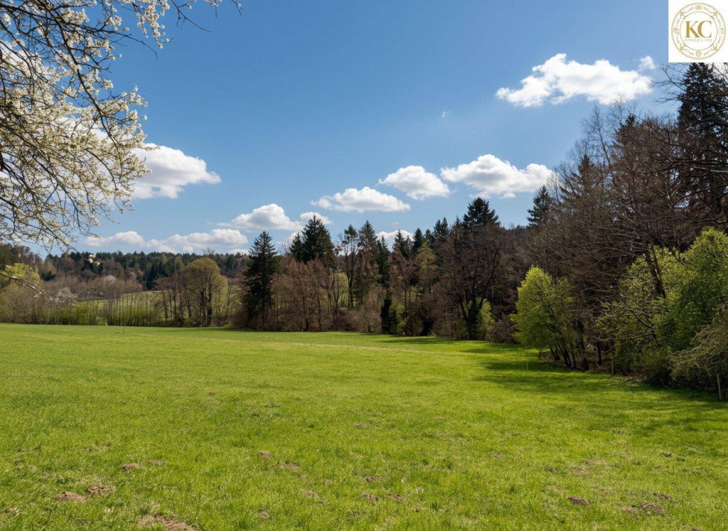 Weitläufige grüne Wiesenlandschaft unter blauem Himmel mit vereinzelten Wolken und bewaldeten Hügeln.