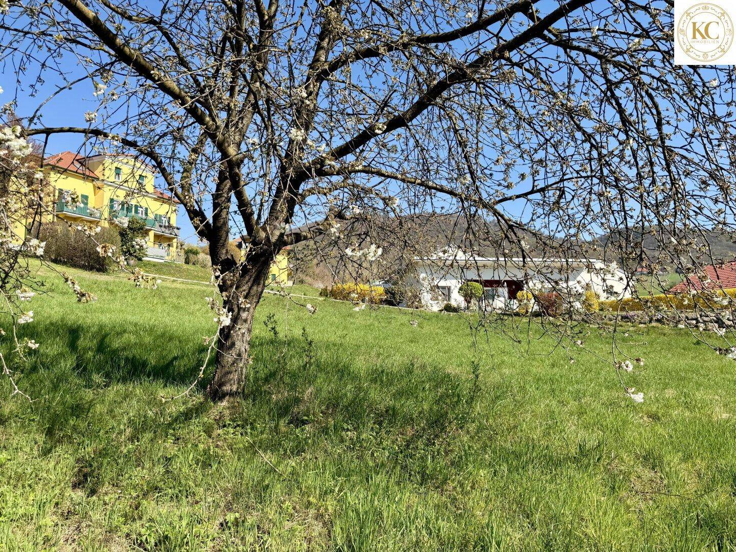 Blühender Baum im Vordergrund mit Blick auf ein gelbes Gebäude und die umliegende Landschaft.