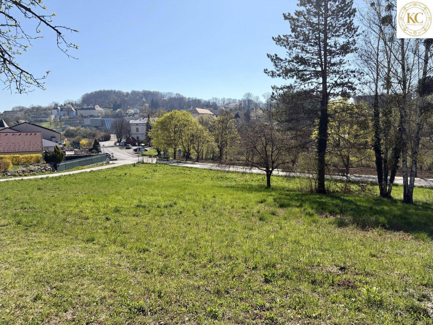 Blick über eine grüne Wiese auf eine ländliche Siedlung mit Häusern und Bäumen am Horizont.