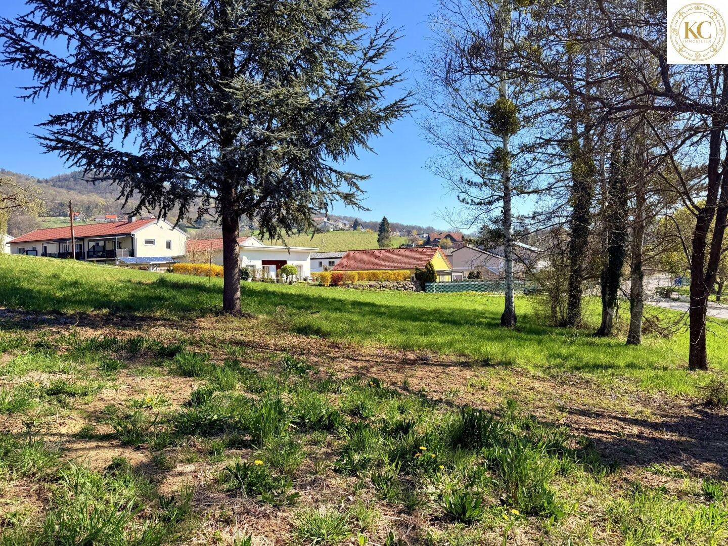 Offenes Grundstück mit Grasfläche und Blick auf die umliegenden Wohnhäuser.