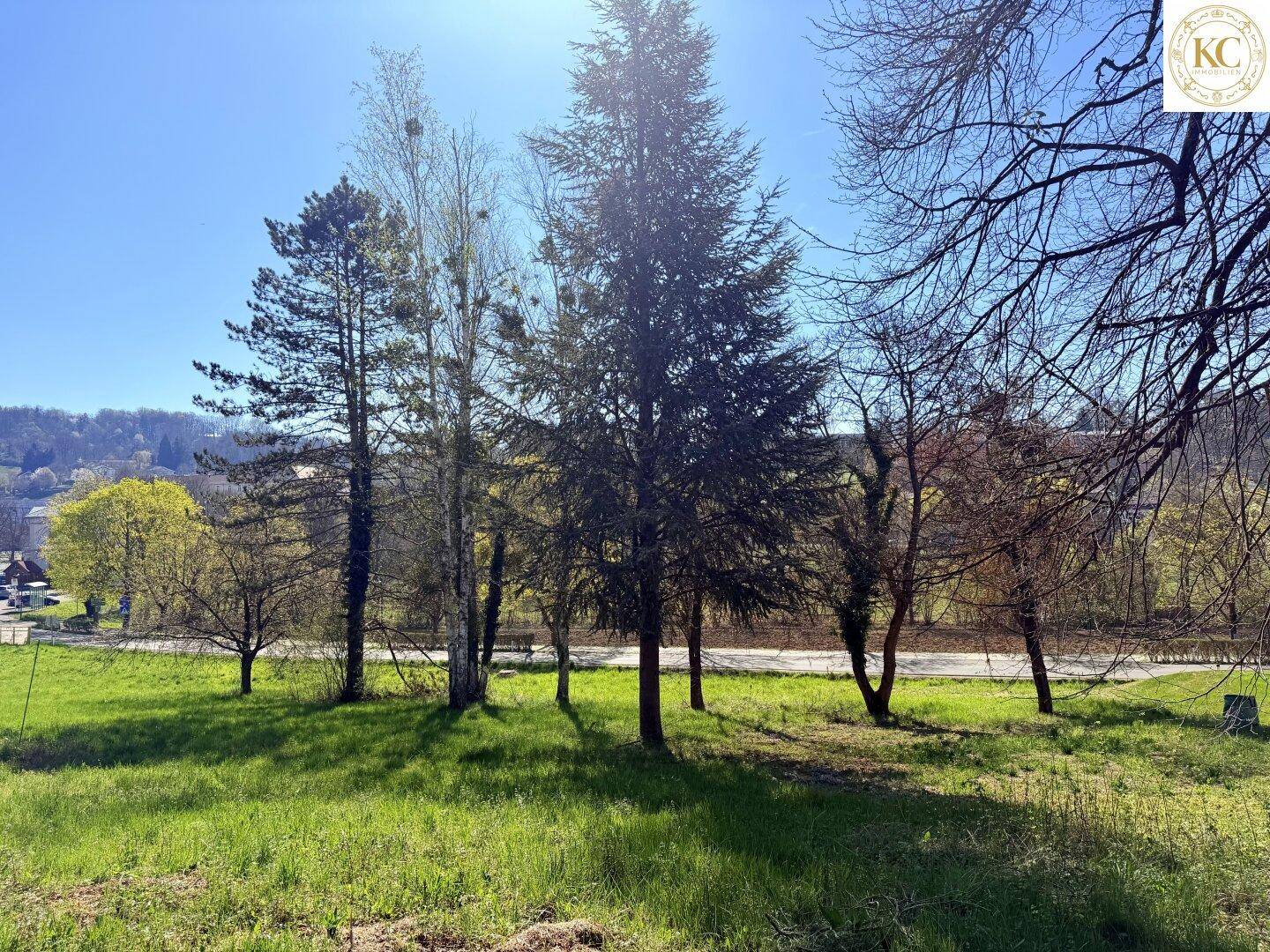 Sonniges Grundstück mit hohen Bäumen und weitem Blick auf die Umgebung.