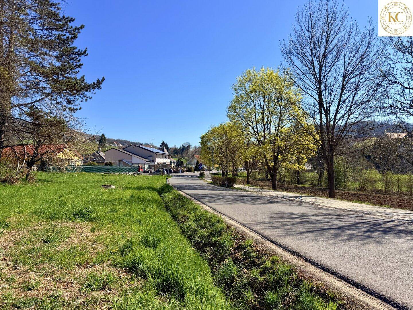 Ruhige Landstraße neben einem grünen Grundstück mit Bäumen und Häusern in der Ferne.