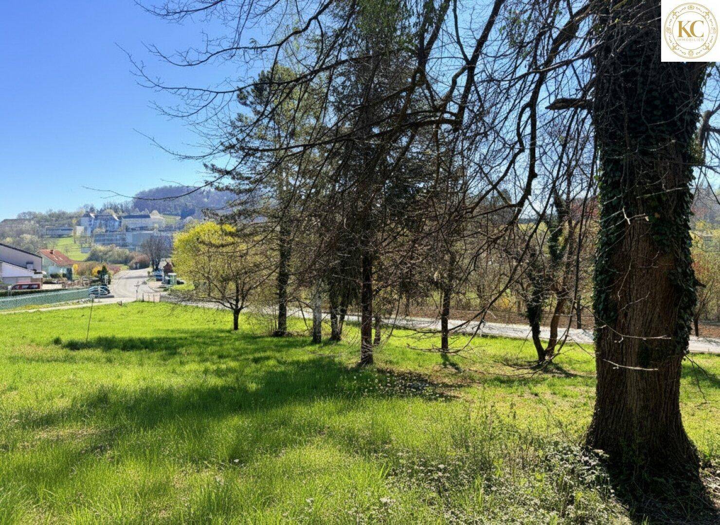 Weitläufiges grünes Grundstück mit alten Bäumen und Blick auf die ländliche Umgebung.