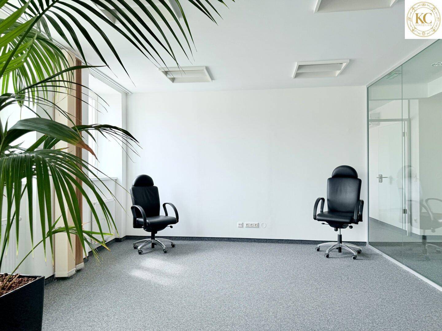 Geräumiges Büro mit Teppichboden, ergonomischen Bürostühlen und viel Tageslicht durch die Fenster.