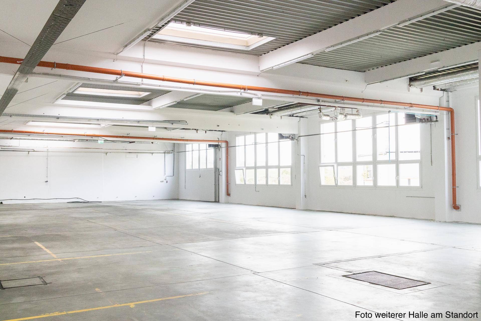 Gewerbehalle inkl. Büro in Ebreichsdorf ab 01.04.2026 verfügbar - Ansicht 3