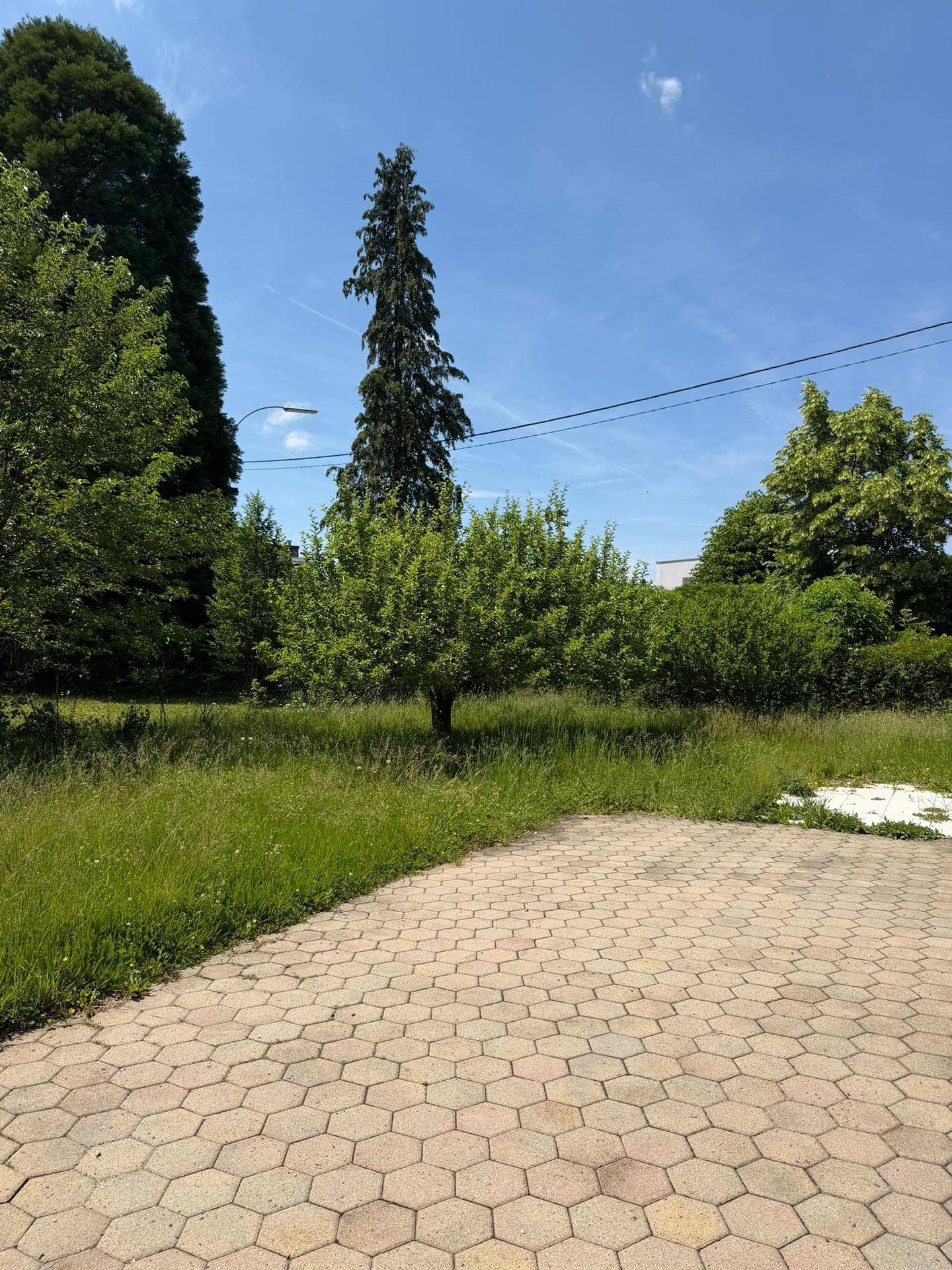 Einfamilienhaus in grüner Lage - Ansicht 4