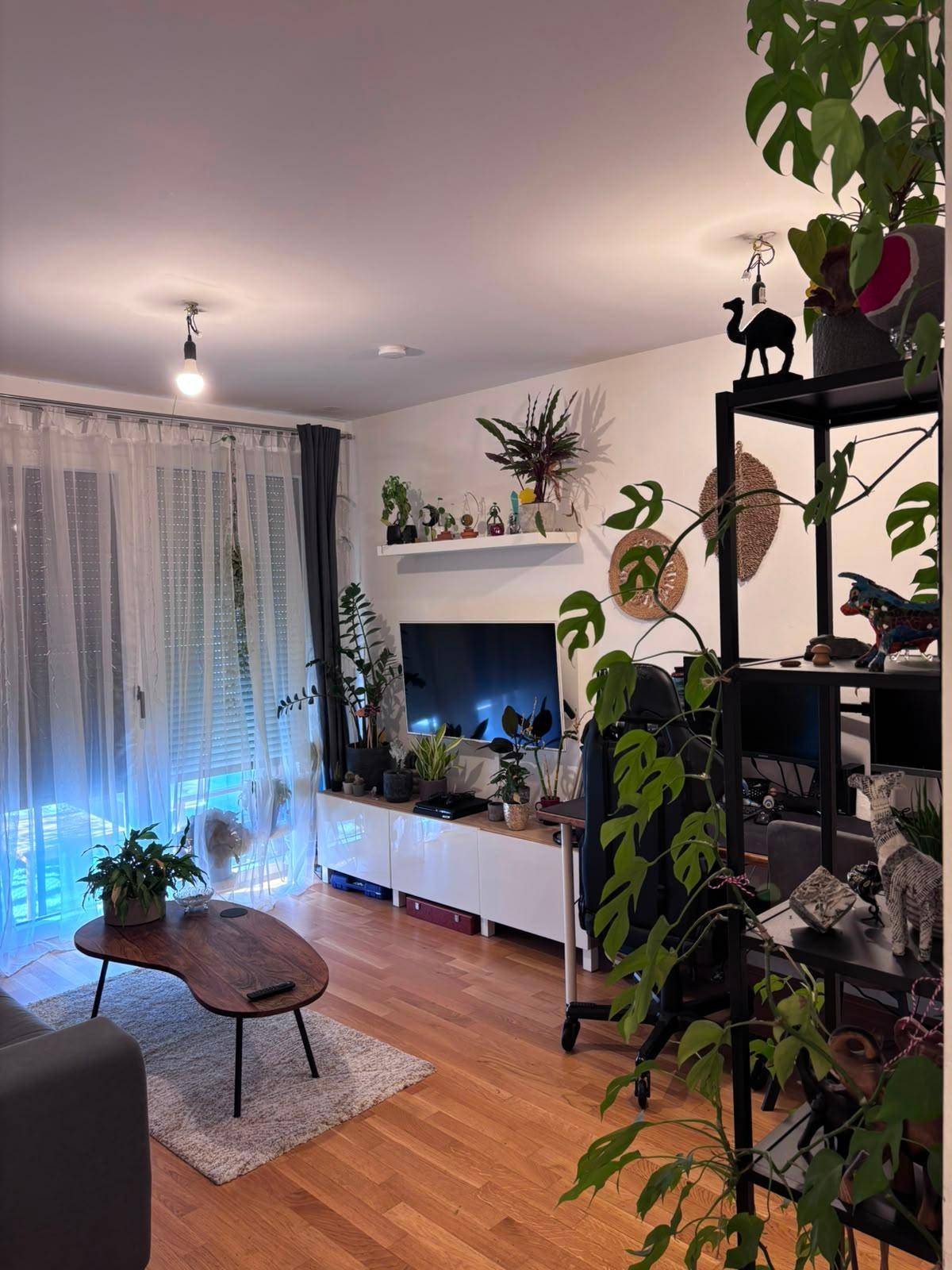 Helles Wohnzimmer mit vielen Pflanzen, Holzboden und Fernseher.
