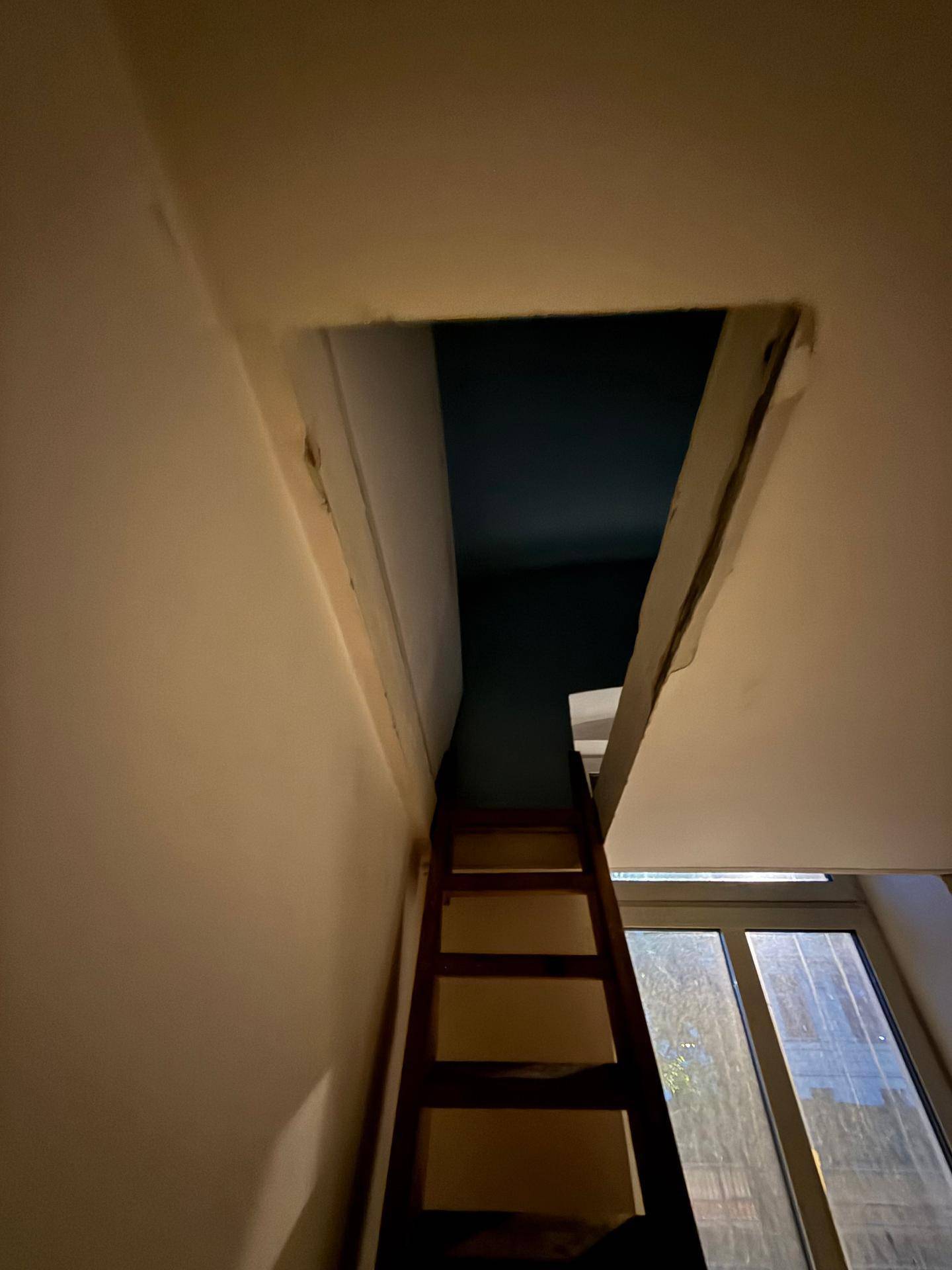 Slide 7
