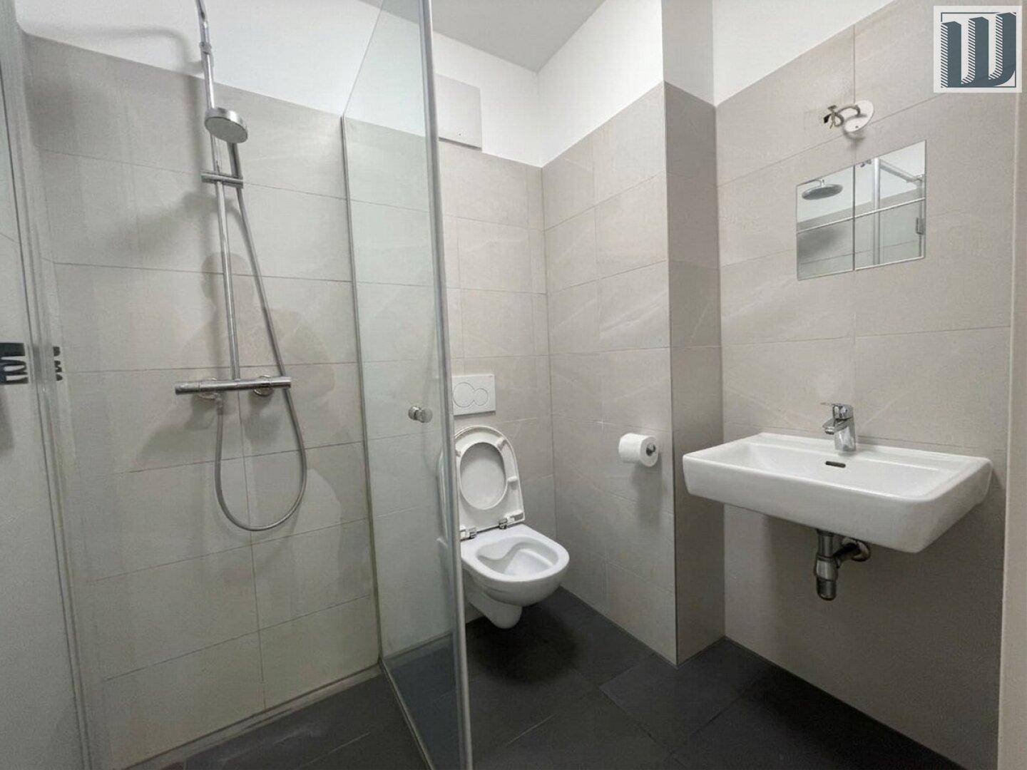 Modernes Badezimmer mit begehbarer Dusche, Wand-WC und Waschbecken in hellen Grautönen.