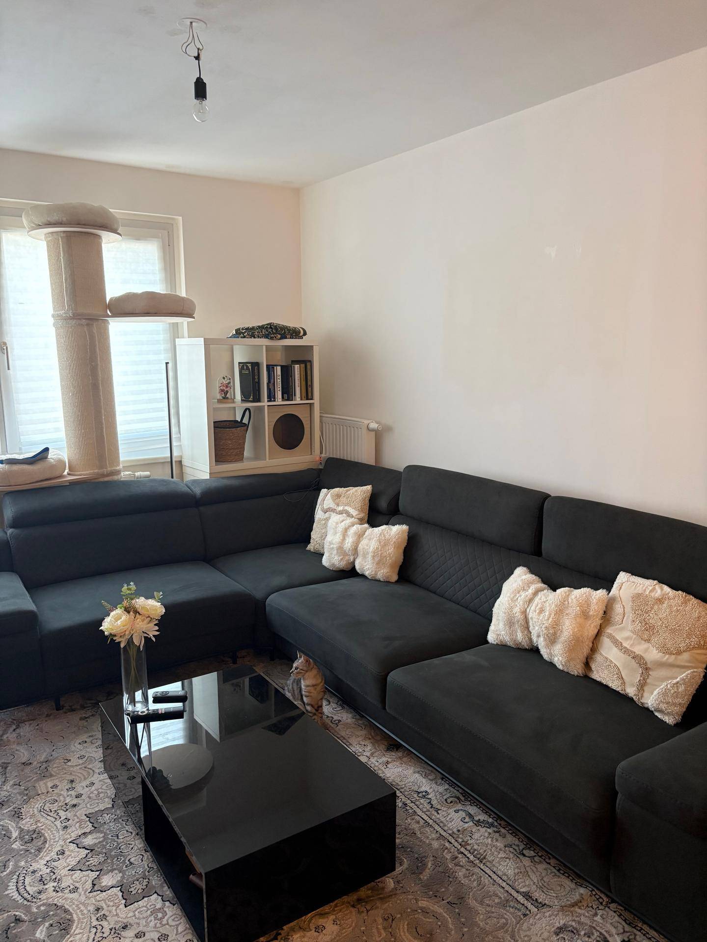 Gemütliche Sitzecke im Wohnzimmer mit dunklem Ecksofa, Couchtisch und Teppich.