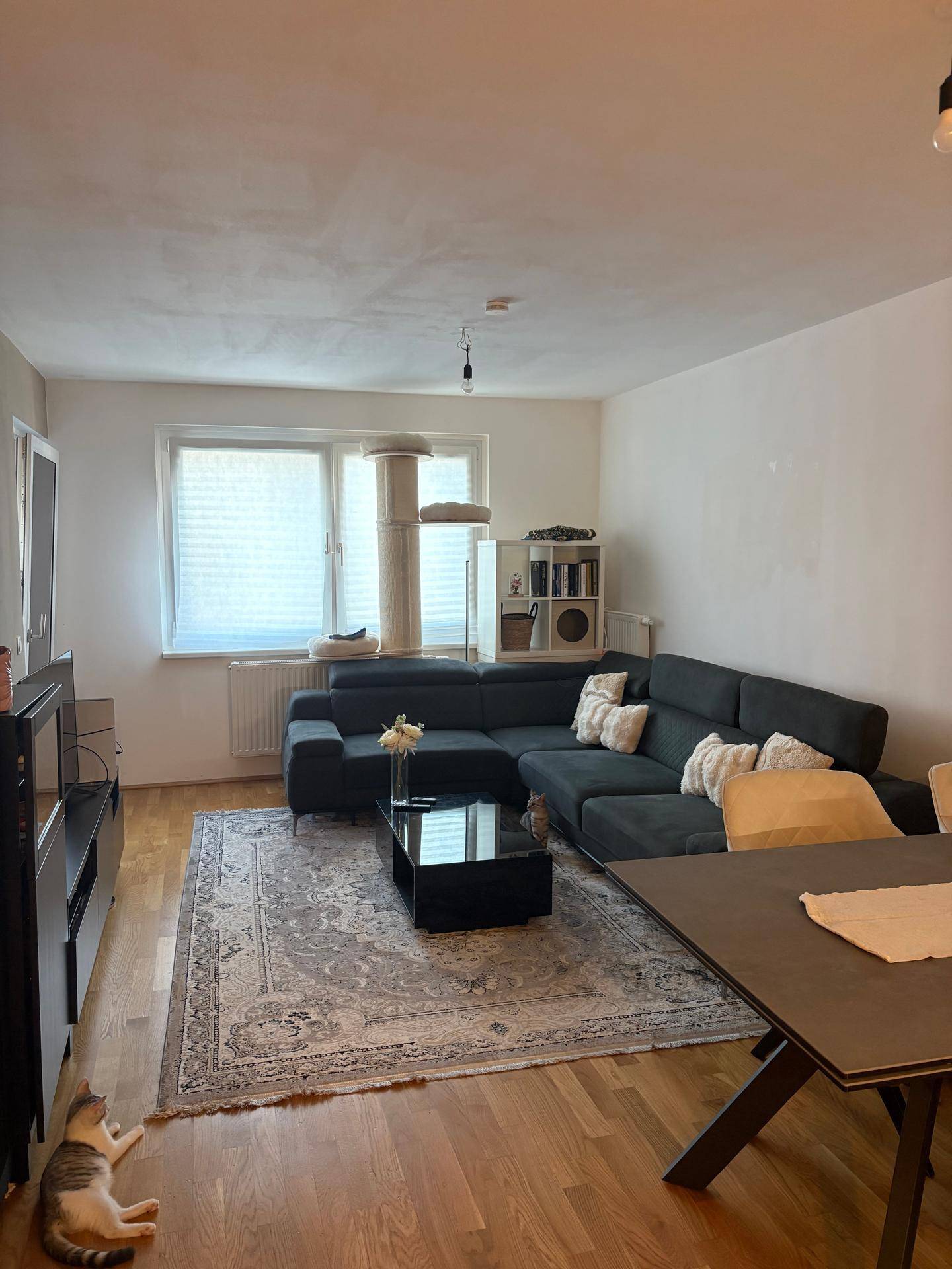 Geräumiger Wohn-Essbereich mit dunklem Ecksofa, Esstisch und hellem Holzfußboden.