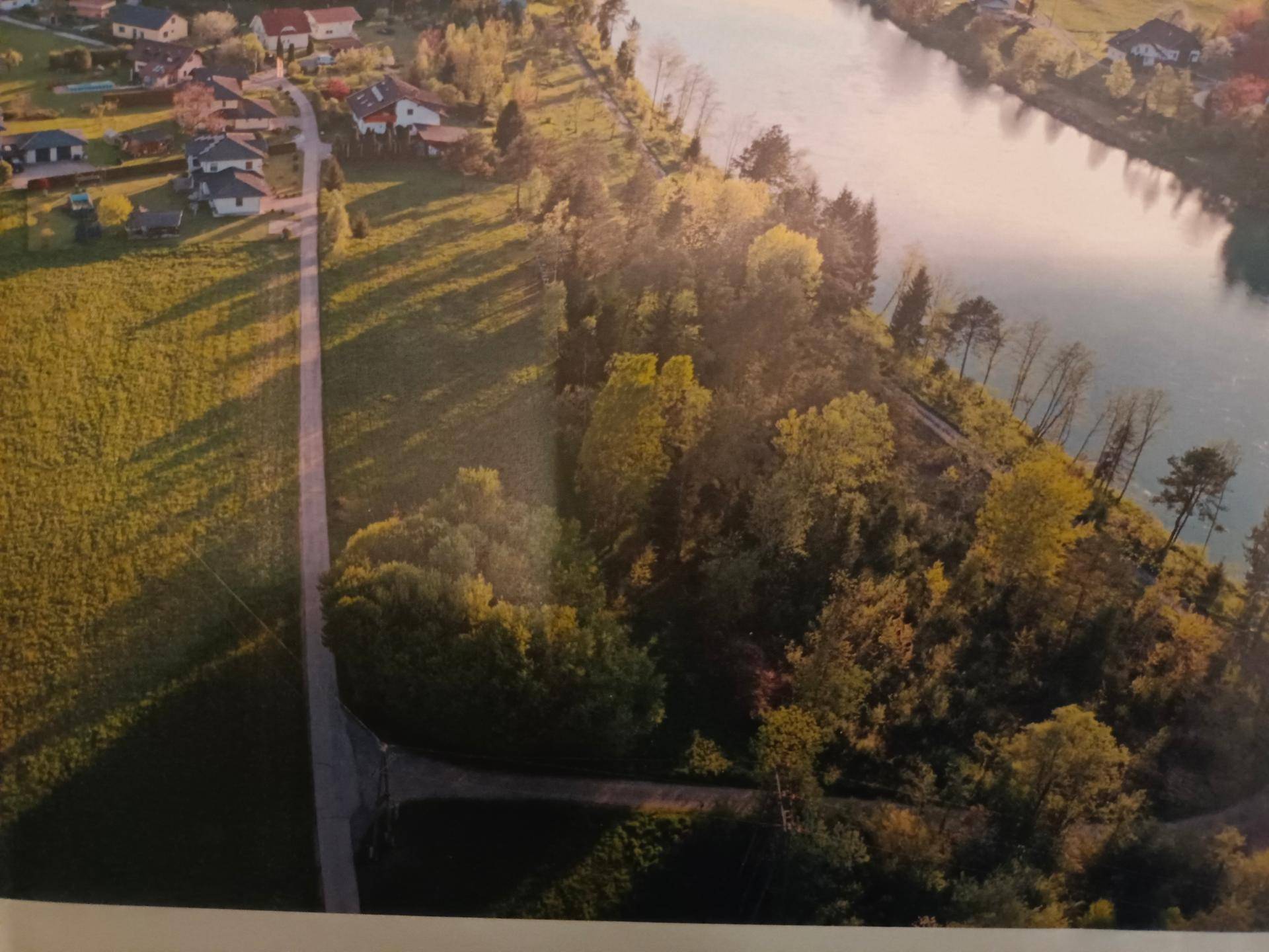 Weitläufige Luftaufnahme eines Flusses, umgeben von dichtem Baumbestand und vereinzelten Häusern.
