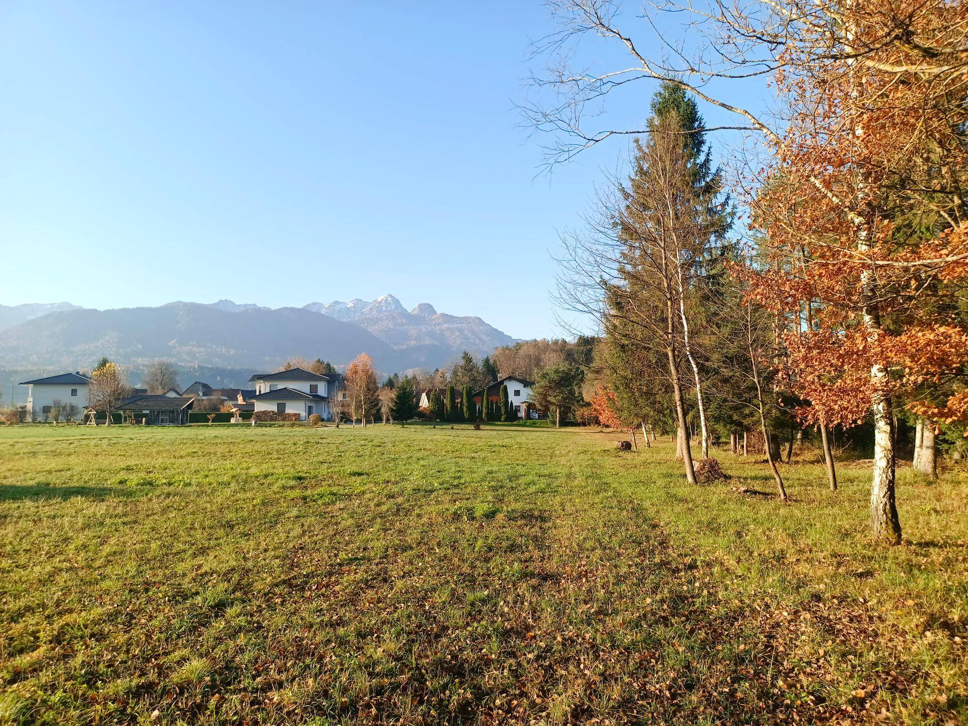 Sonnige Wiese mit Blick auf eine Bergkette, umgeben von Bäumen und einigen Wohnhäusern.
