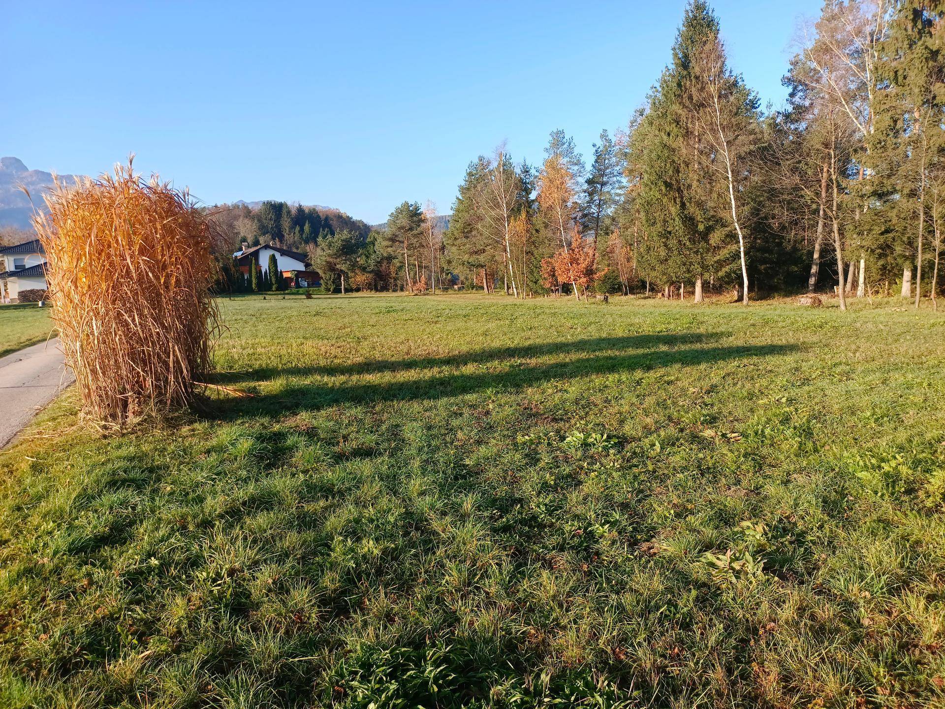Weitläufige, sonnige Grünfläche mit hohem Gras, umgeben von Bäumen und einem Haus im Hintergrund.