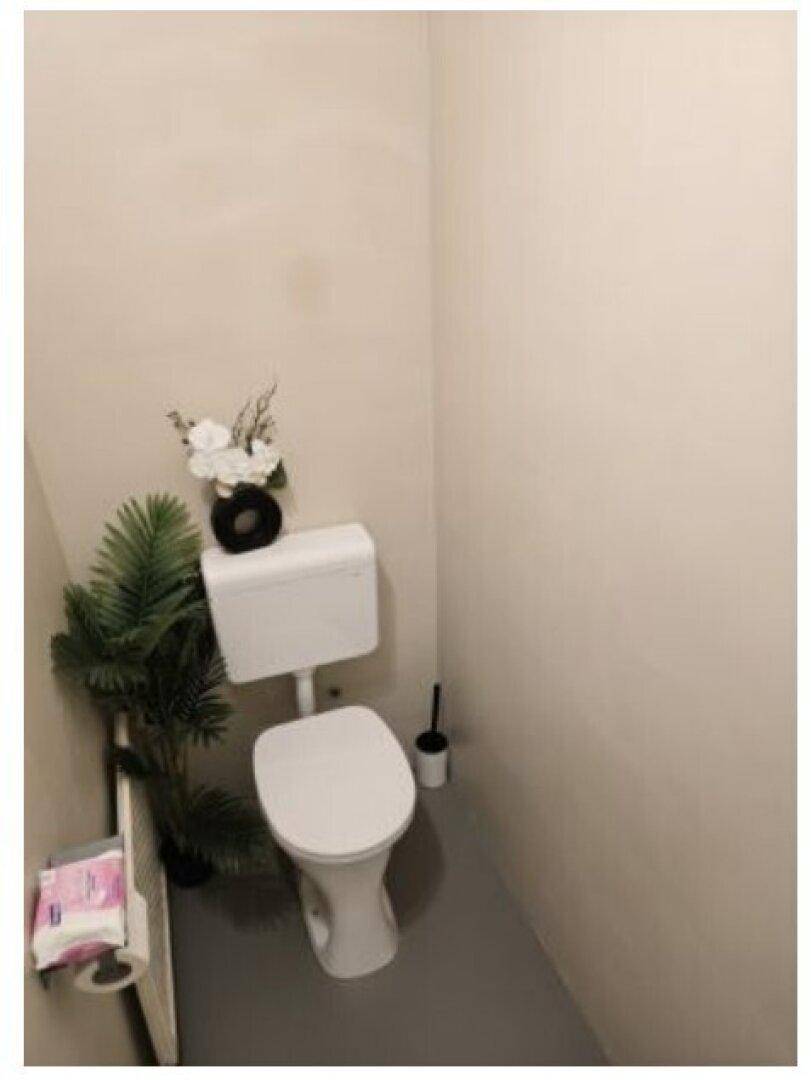 Separate Toilette mit WC, kleiner Pflanze und hellem Boden in minimalistischem Design.