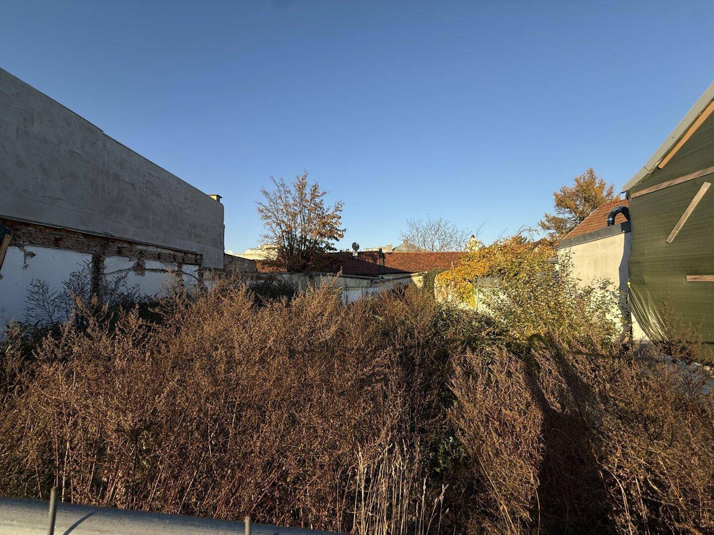 Überwuchertes Grundstück mit angrenzenden Gebäuden und herbstlicher Vegetation unter blauem Himmel.