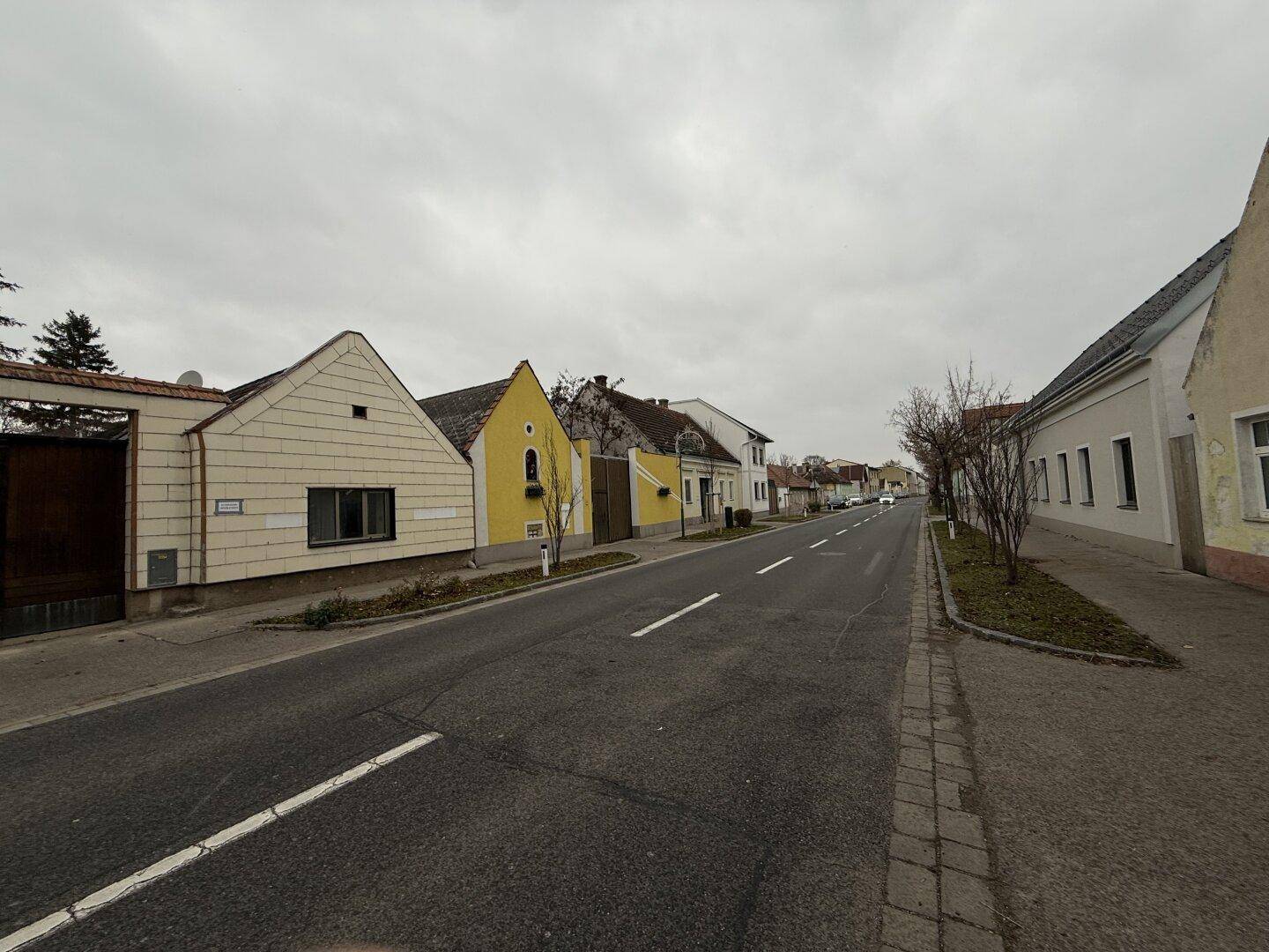 Blick auf eine ruhige Dorfstraße mit traditionellen Häusern und bewölktem Himmel.