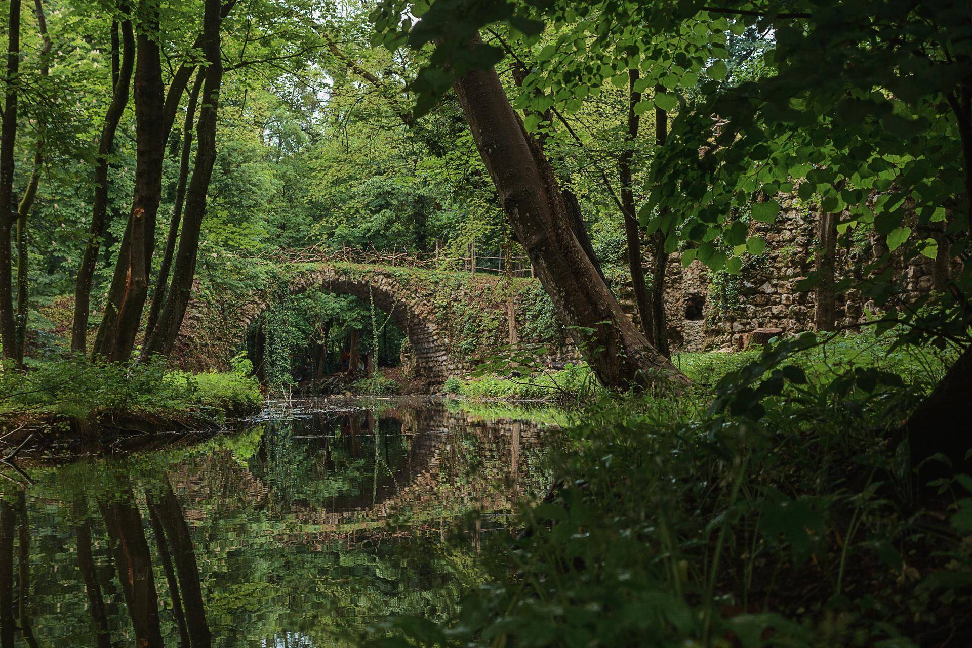 Historische Steinbrücke über einen Bach in einem dichten Wald, umgeben von üppigem Grün.