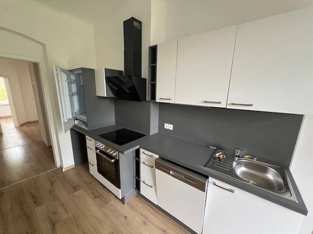 Detailansicht der modernen Einbauküche mit Induktionskochfeld, Backofen und Spülmaschine.