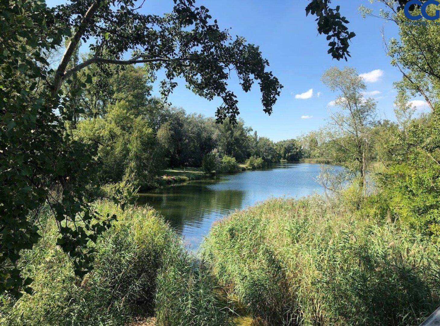 Idyllischer See umgeben von üppiger Vegetation und Schilf unter blauem Himmel.