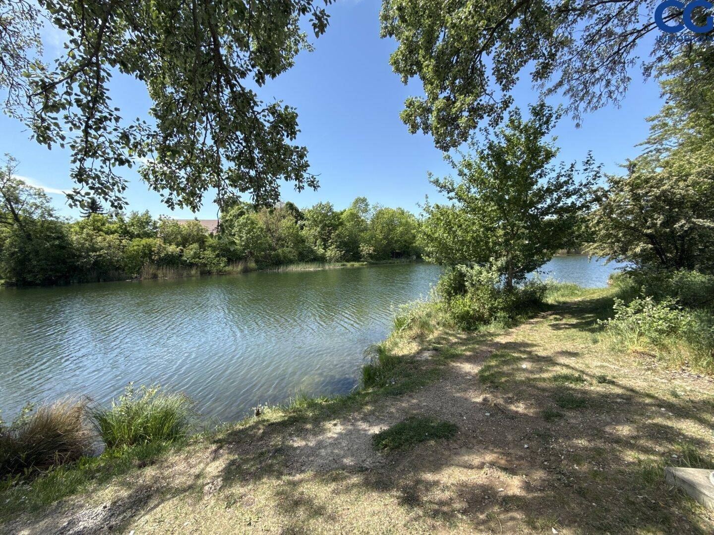 Ruhiger See umgeben von üppigem Grün und Bäumen unter strahlend blauem Himmel.