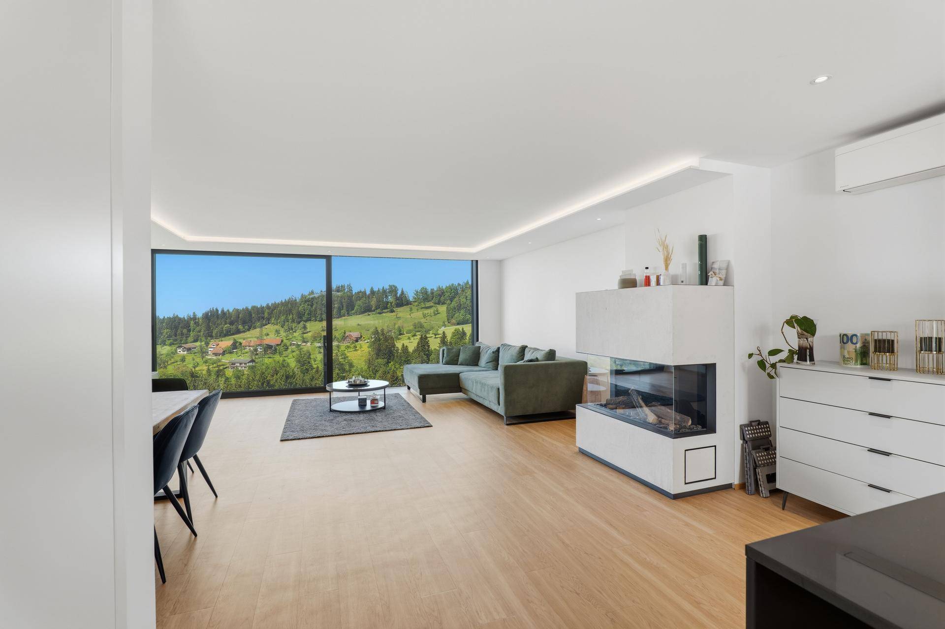 Geräumiger Wohnbereich mit modernem Kamin, bequemer Couch und weitem Blick ins Grüne.