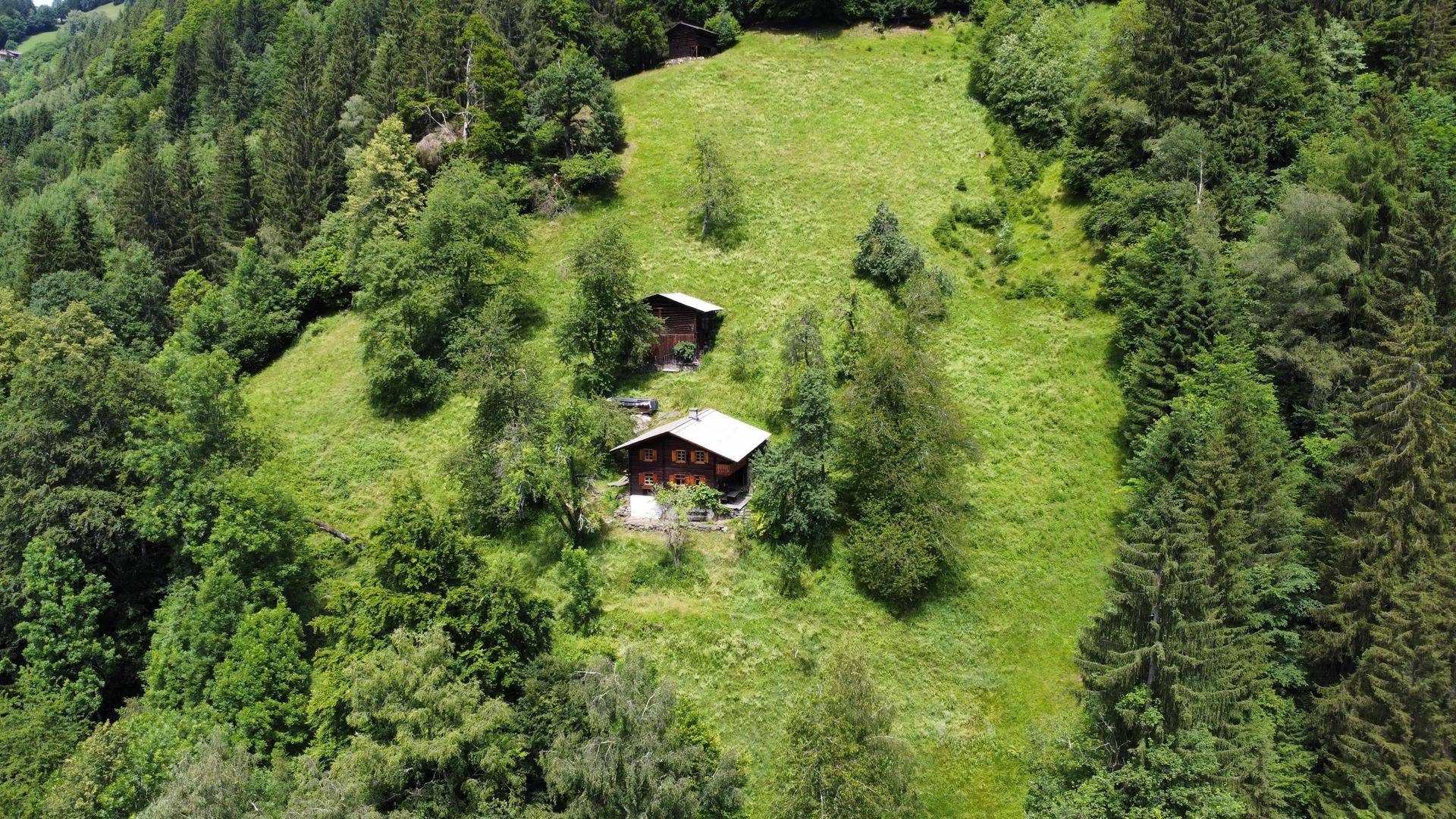 Zwei traditionelle Holzhäuser auf einer grünen Wiese, umgeben von dichtem Wald in den Bergen.