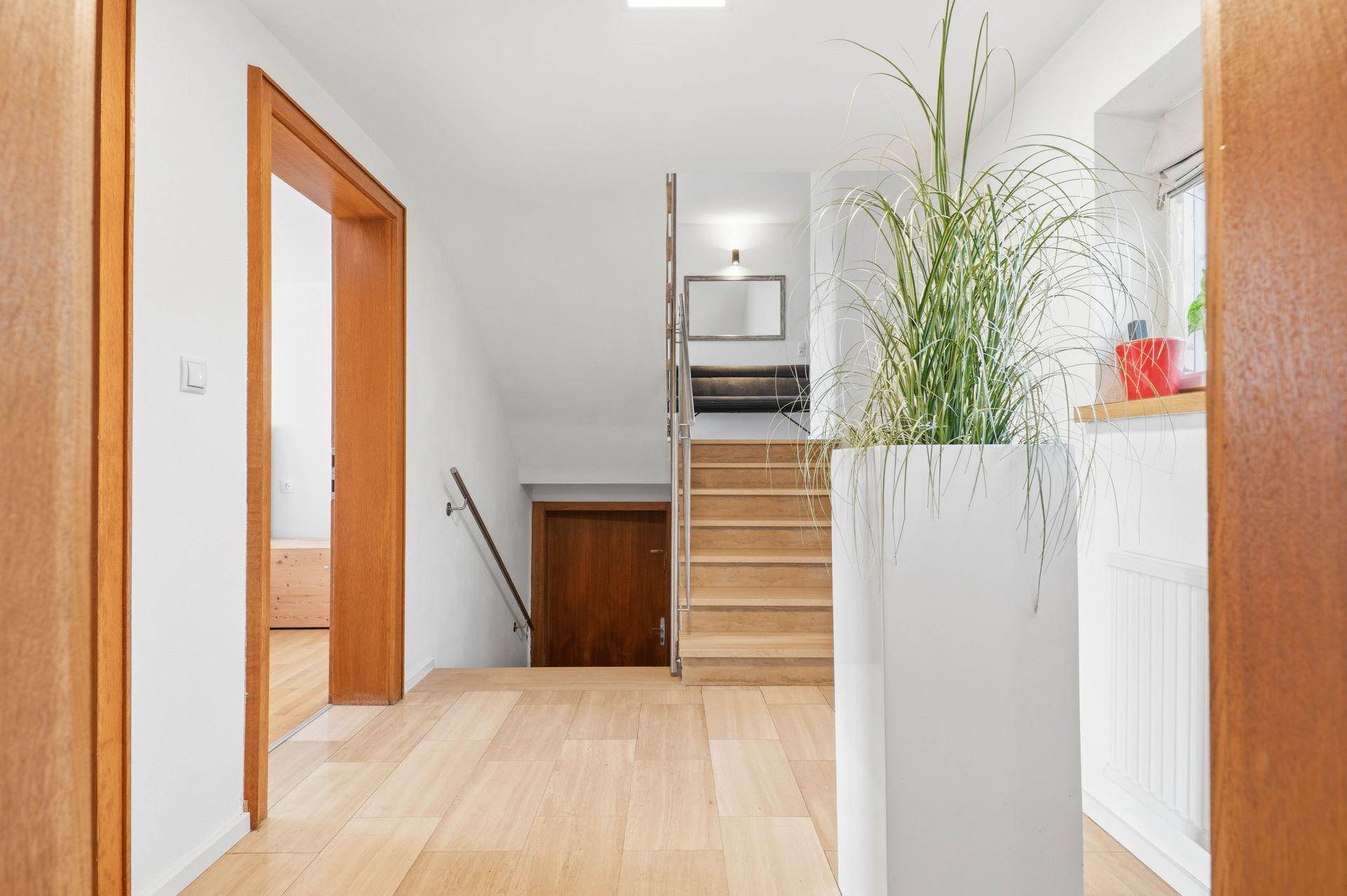 Heller Flur mit Holzboden, Treppe und großer Pflanze als Dekoration.