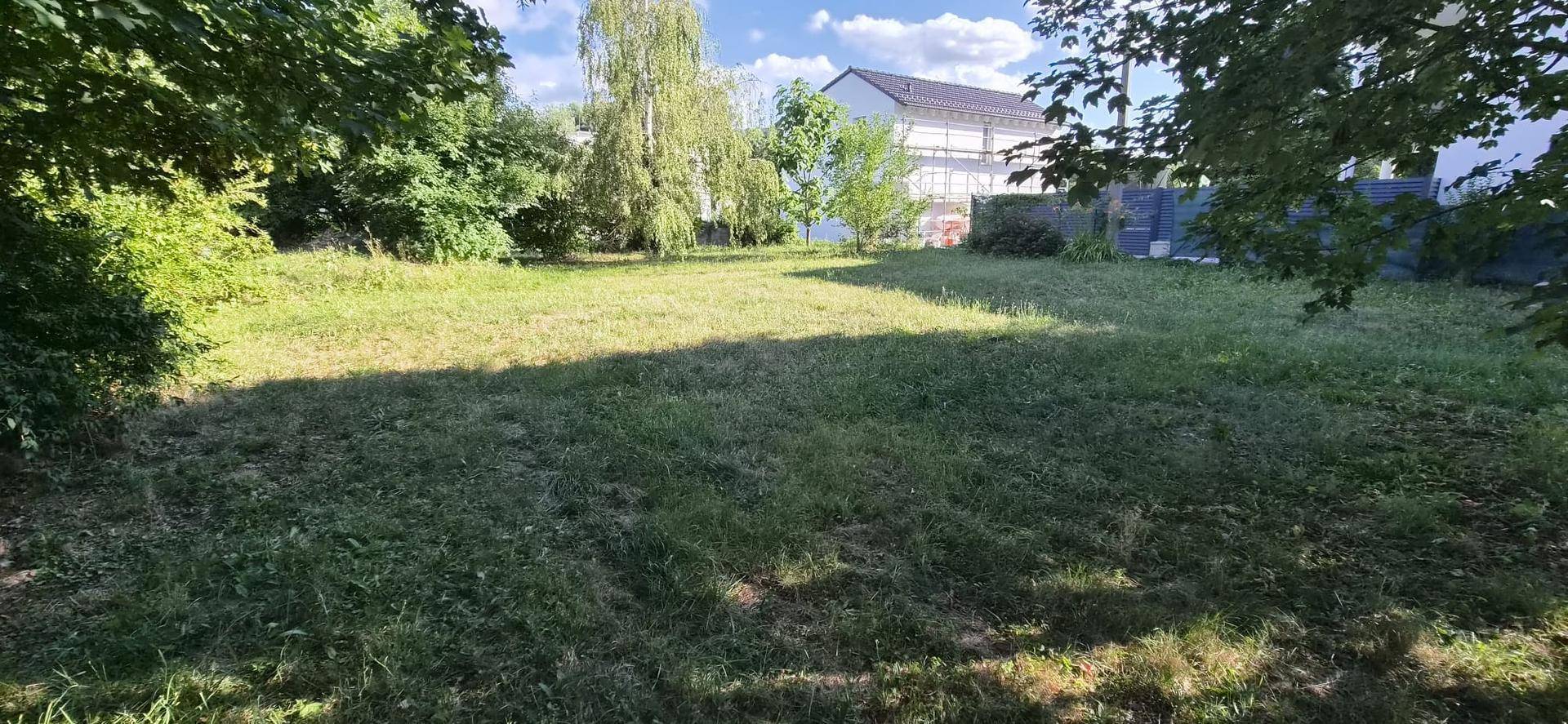 Weitläufige Rasenfläche mit Bäumen und einem Haus im Hintergrund, ideal für Erholung.