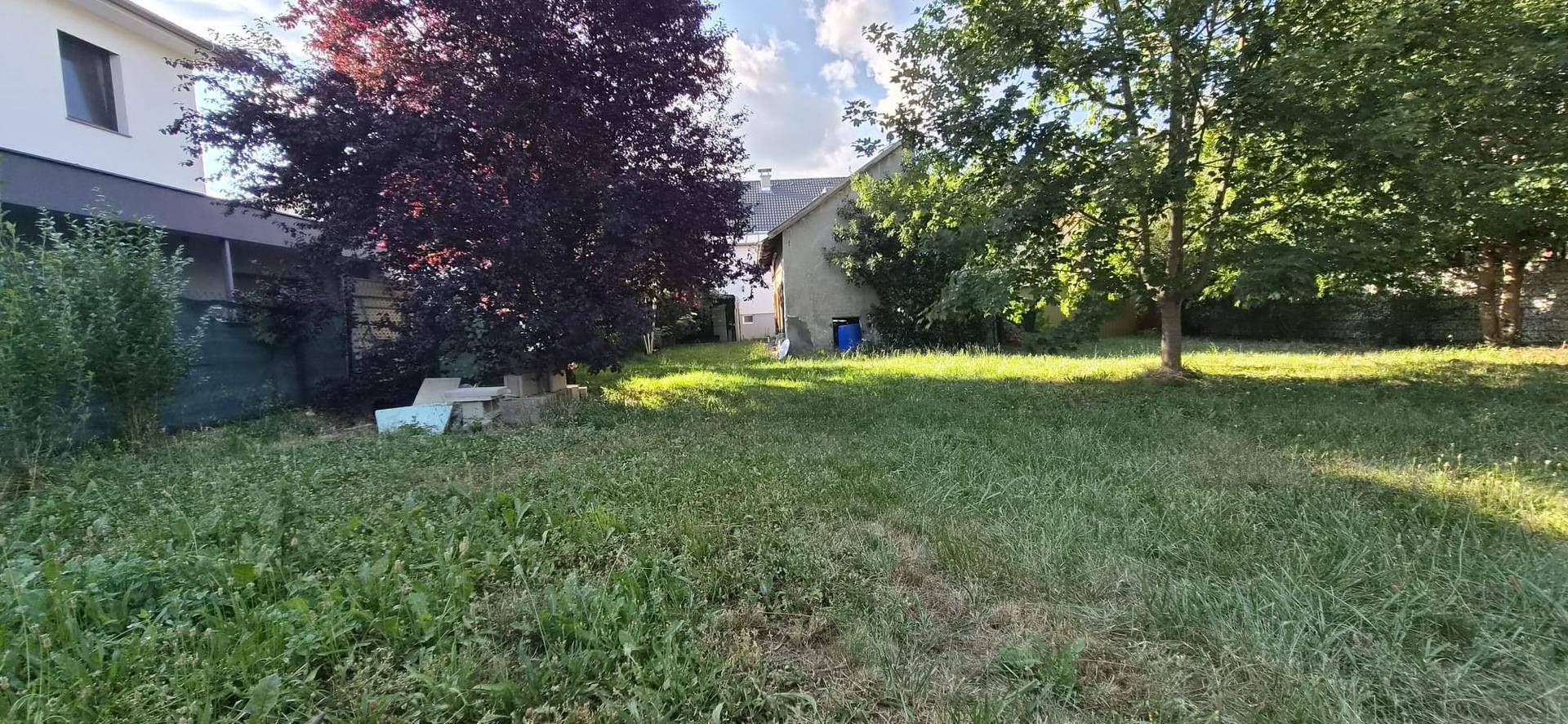 Großer, ungemähter Gartenbereich mit Bäumen und Blick auf das angrenzende Gebäude.