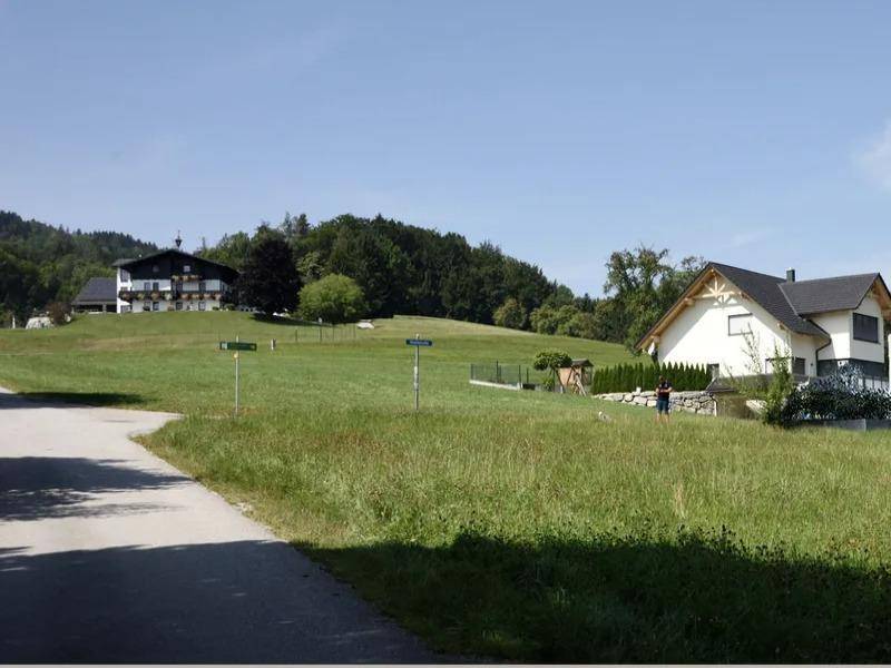 Ländliche Szene mit zwei Häusern auf einem grünen Hügel und weitem Blick.