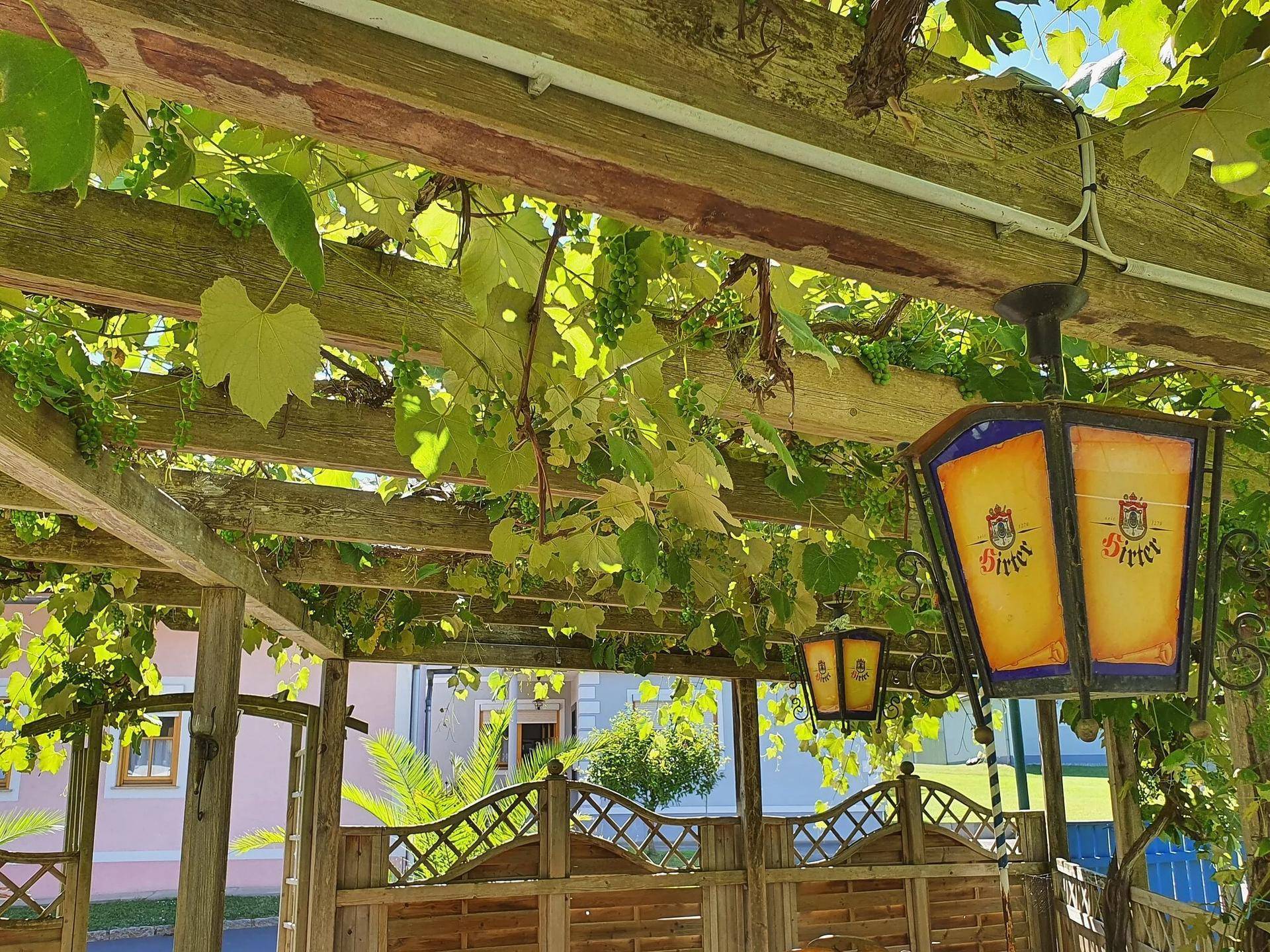 Gemütliche Pergola mit Weinreben und dekorativen Laternen, ideal für entspannte Stunden im Freien.