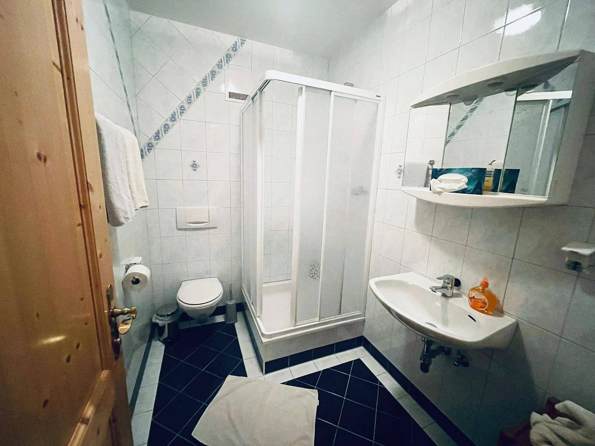 Funktionales Badezimmer mit Duschkabine, Toilette und Waschbecken, hell gefliest.