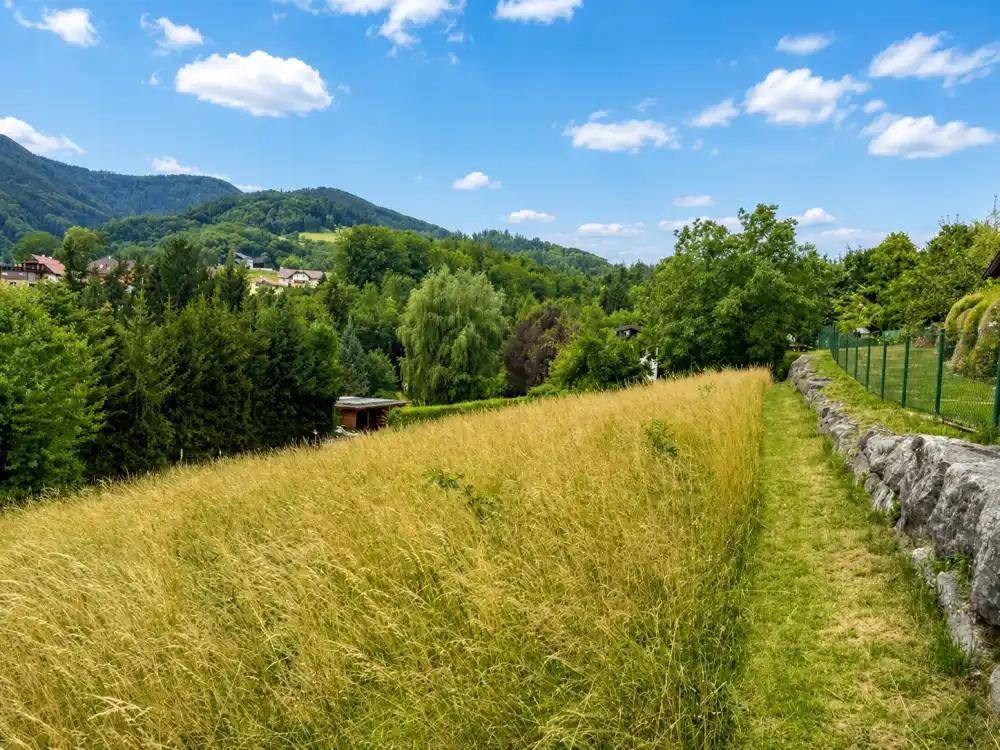 Goldenes Grasfeld mit einem gemähten Pfad, einer Steinmauer und Blick auf bewaldete Hügel und Häuser.
