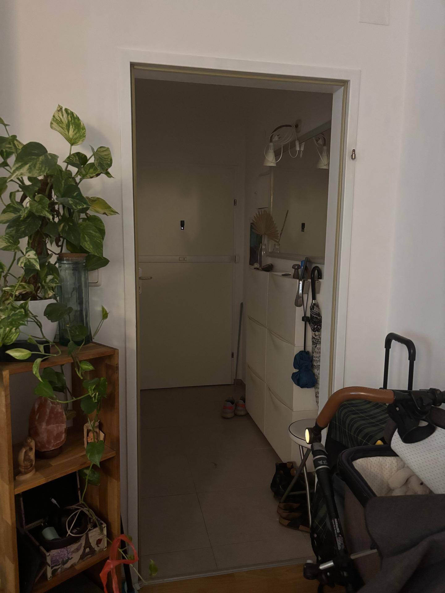 Heller Flur mit Schuhschrank und einer Pflanze auf einem Holzregal.