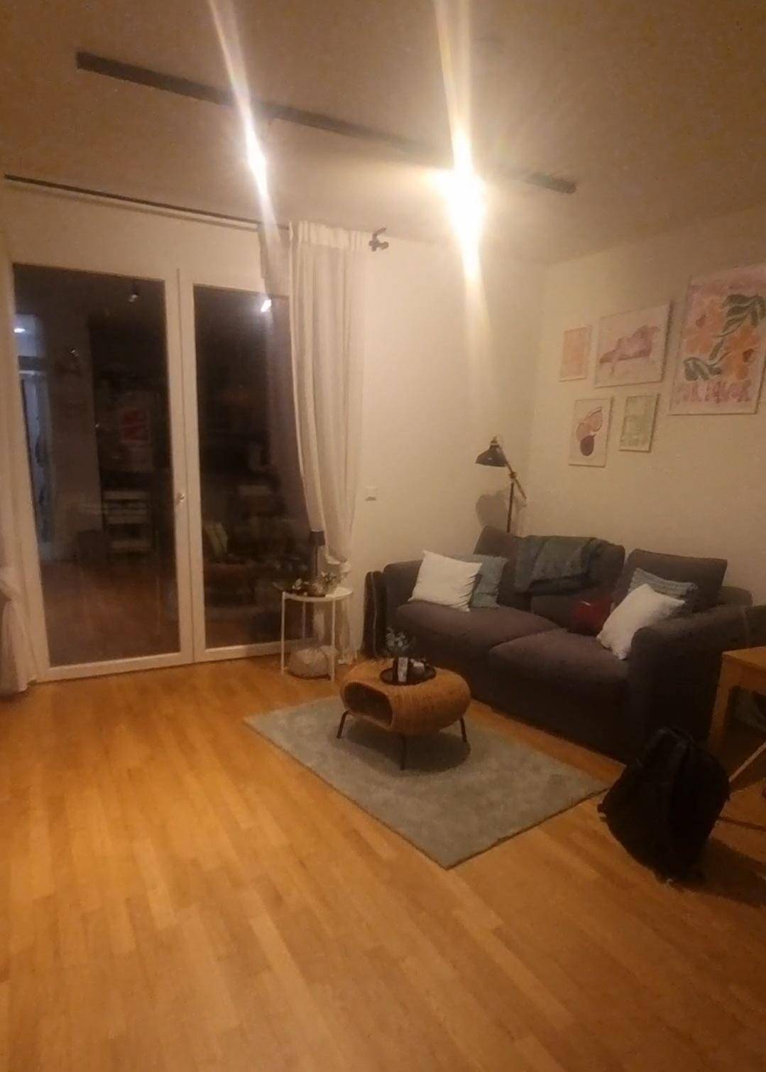 Gemütliches Wohnzimmer mit Holzboden, Sofa und Zugang zu einem Balkon oder einer Terrasse.