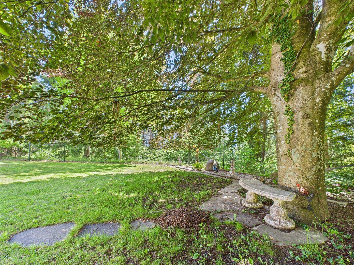 Ruhiger Gartenbereich mit alter Buche und Steinbank, ideal zum Entspannen.