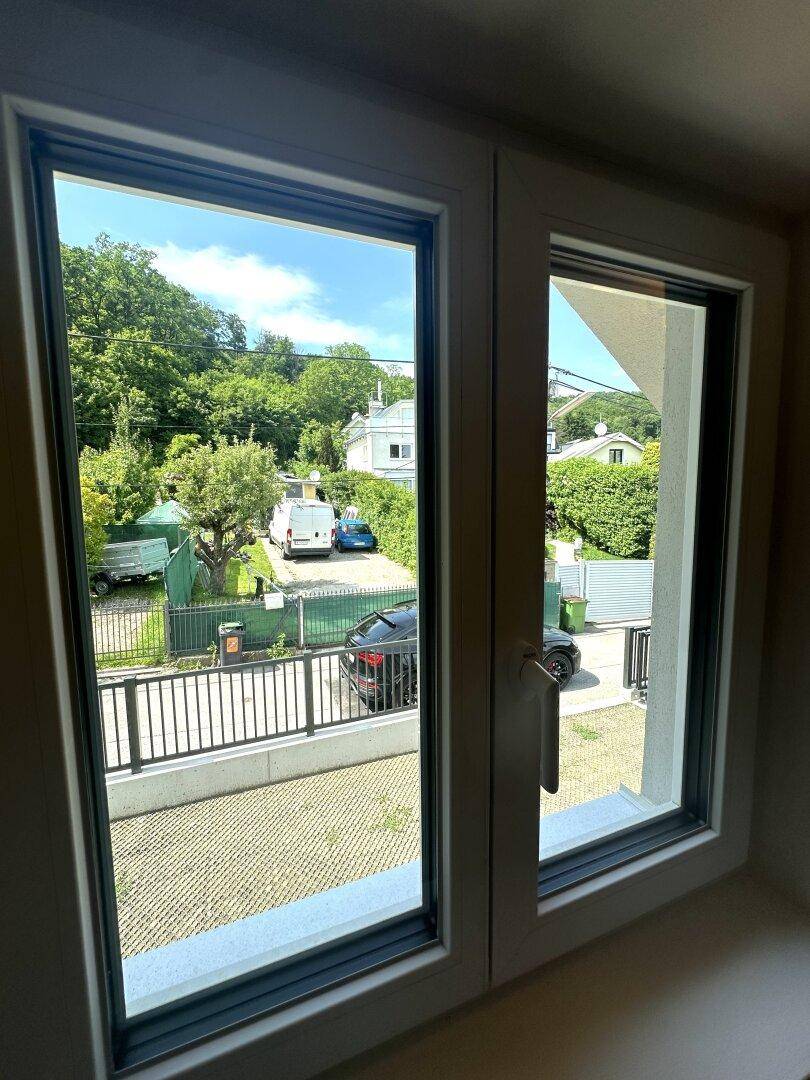 Blick aus dem Fenster auf die Straße, parkende Autos und die grüne Umgebung.
