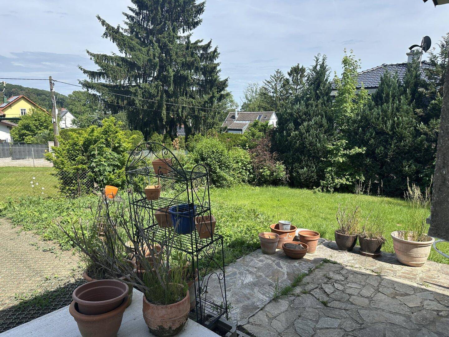 Gartenbereich mit Rasenfläche, Topfpflanzen und einem dekorativen Pflanzenständer.