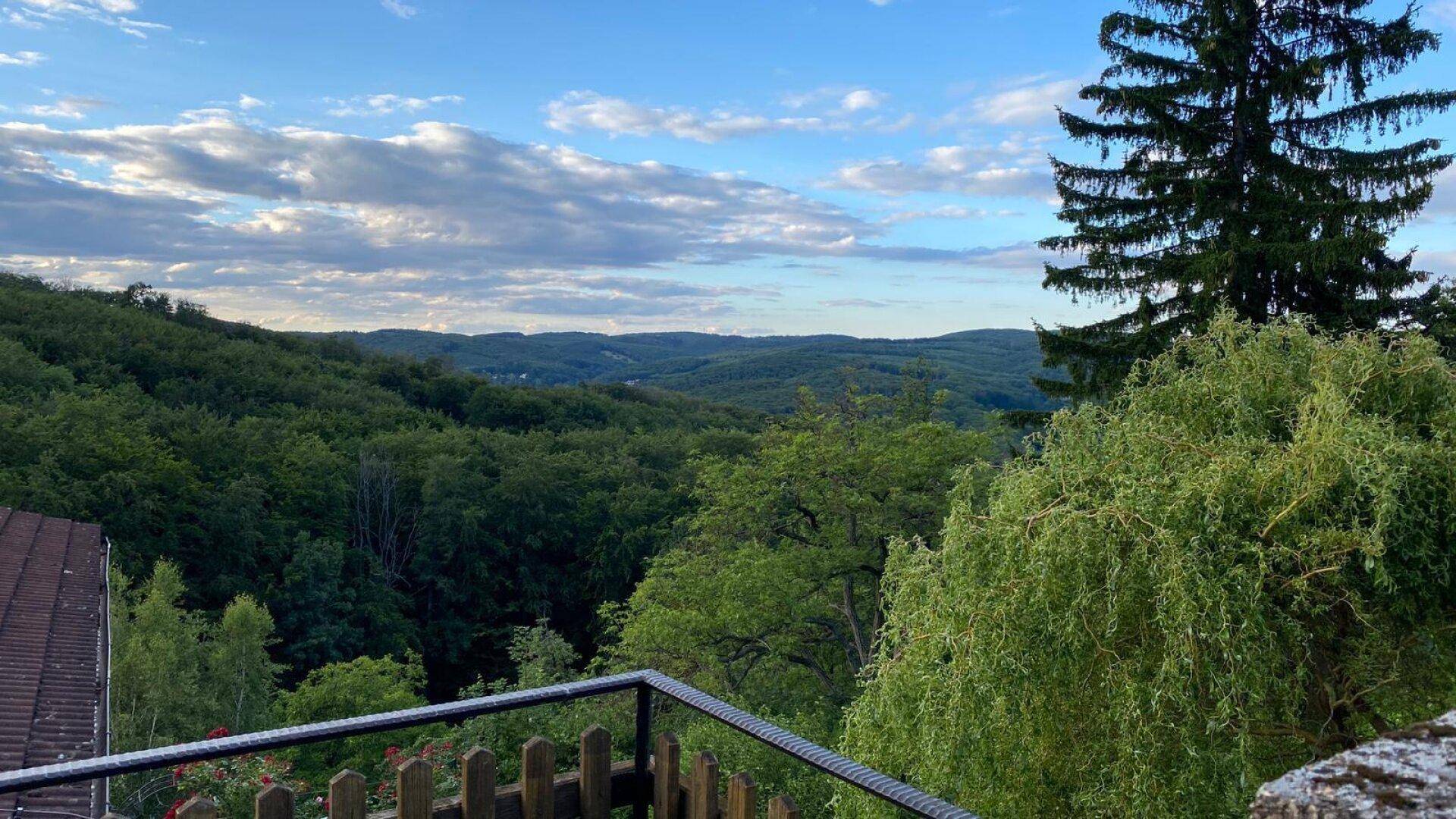 Weitläufiger Panoramablick über eine grüne, bewaldete Hügellandschaft unter einem bewölkten Himmel.