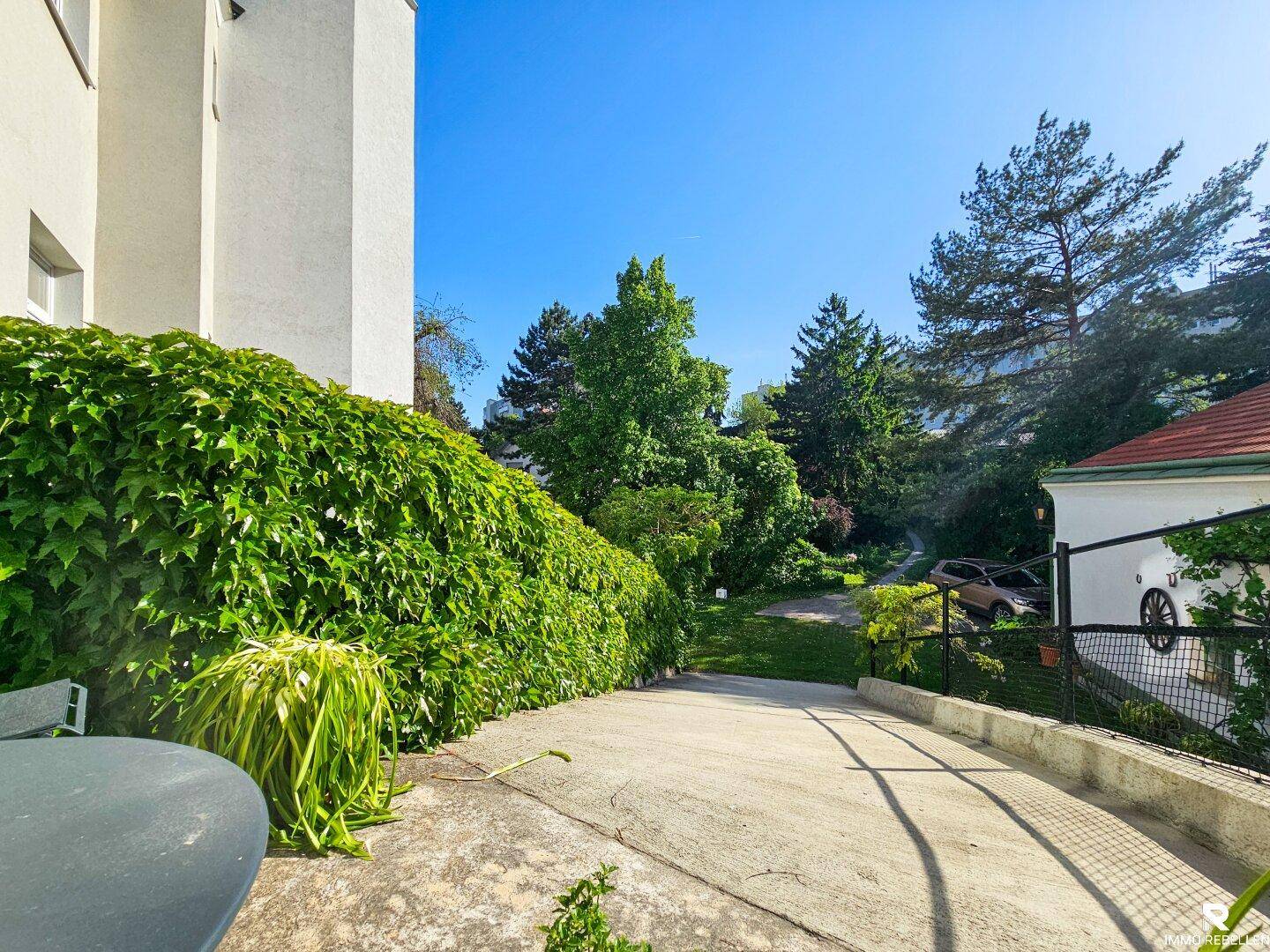 Grüne Außenanlage mit üppiger Hecke, hohen Bäumen und einer gepflasterten Zufahrt.