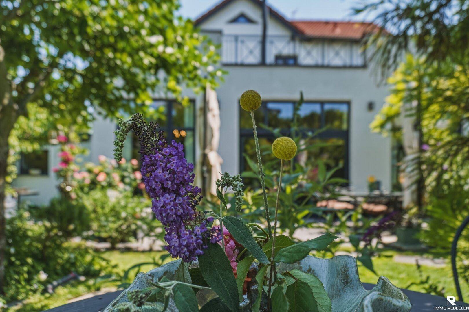 Malerischer Garten mit blühenden Pflanzen im Vordergrund und dem Haus im Hintergrund unter blauem Himmel.