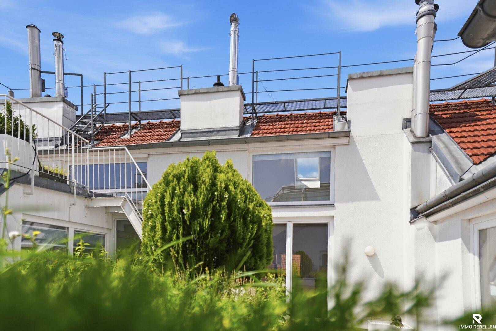 Dachterrasse mit Grünpflanzen, Zugang zu weiteren Ebenen und Blick auf die Umgebung.