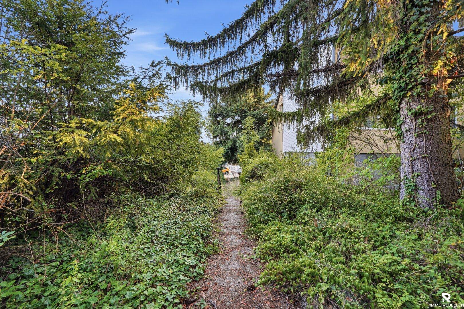 Schmaler Pfad führt durch dicht bewachsenen Gartenbereich mit hohen Bäumen.