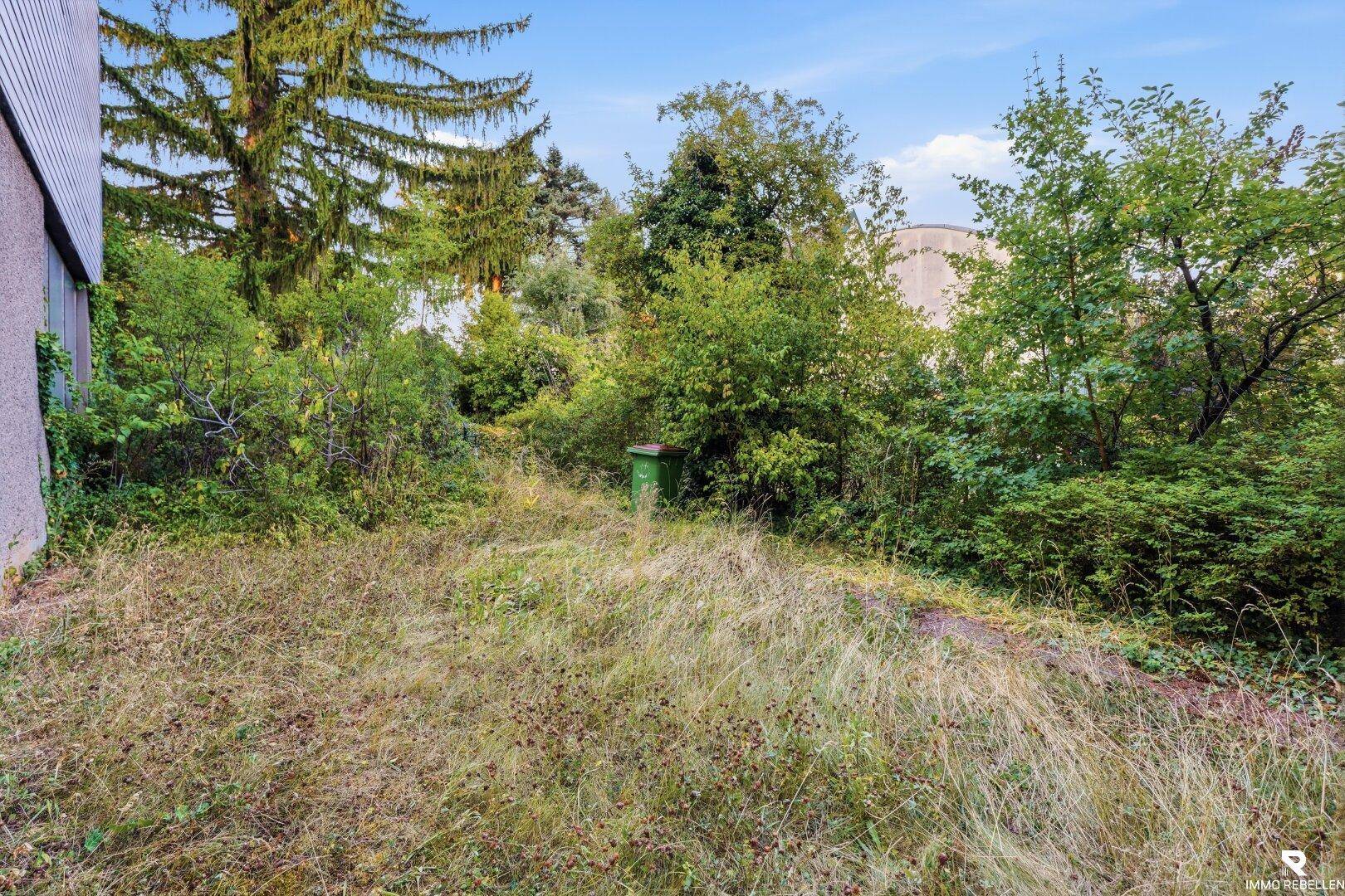 Verwilderter Gartenbereich neben einem Gebäude mit hohem Gras und Sträuchern.