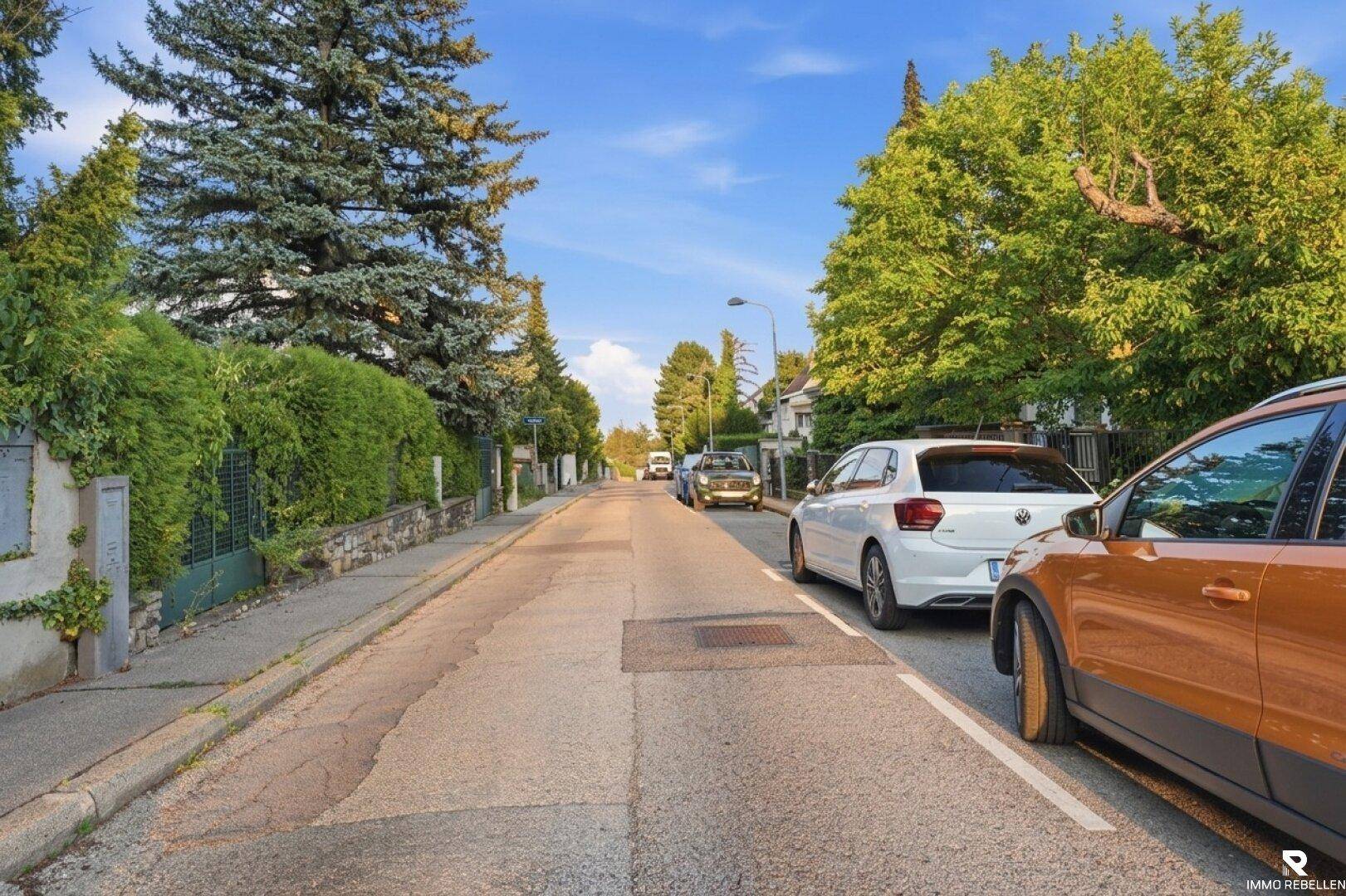 Ruhige Wohnstraße mit geparkten Autos, hohen Hecken und Bäumen unter blauem Himmel.