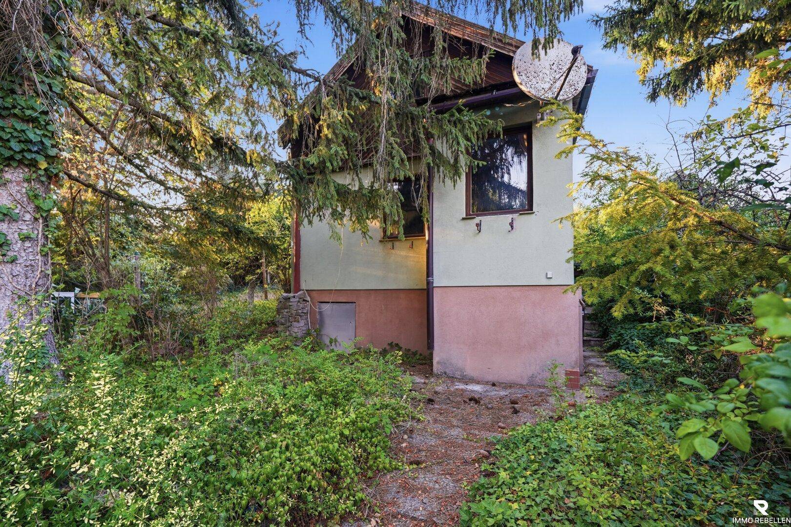 Kleines Haus mit Satellitenschüssel, umgeben von üppiger Vegetation und Bäumen.