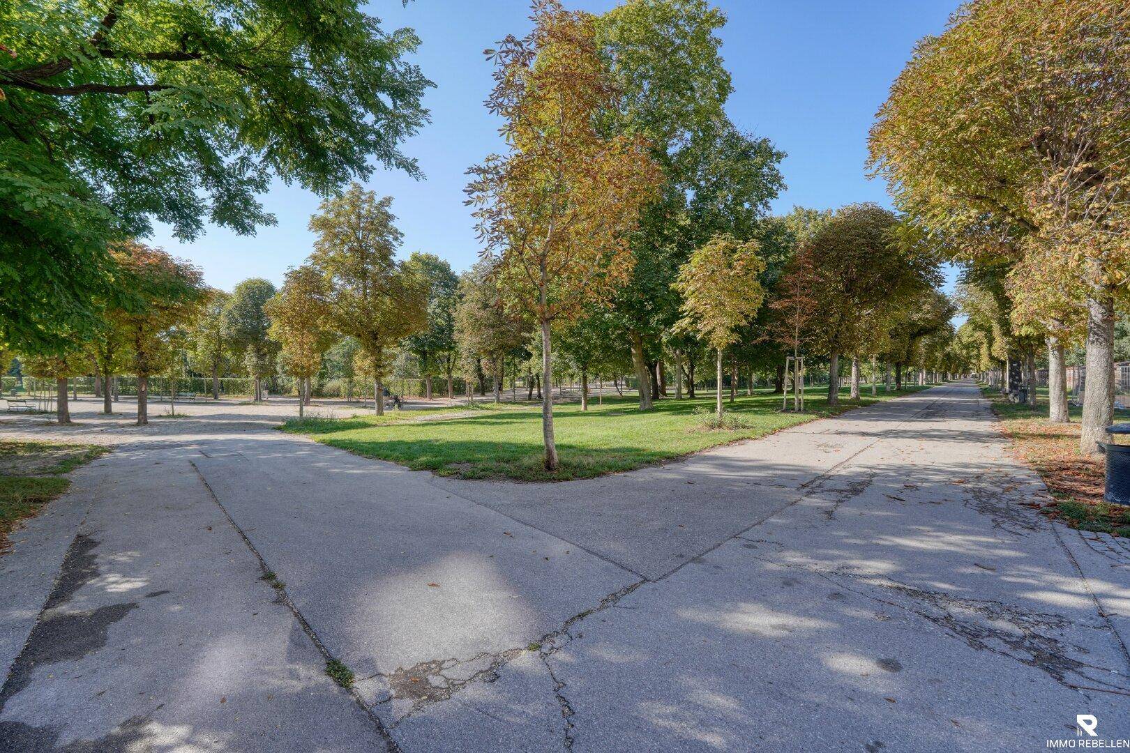 Weitläufige Parkanlage mit vielen Bäumen und Wegen, ideal für Spaziergänge und Erholung.