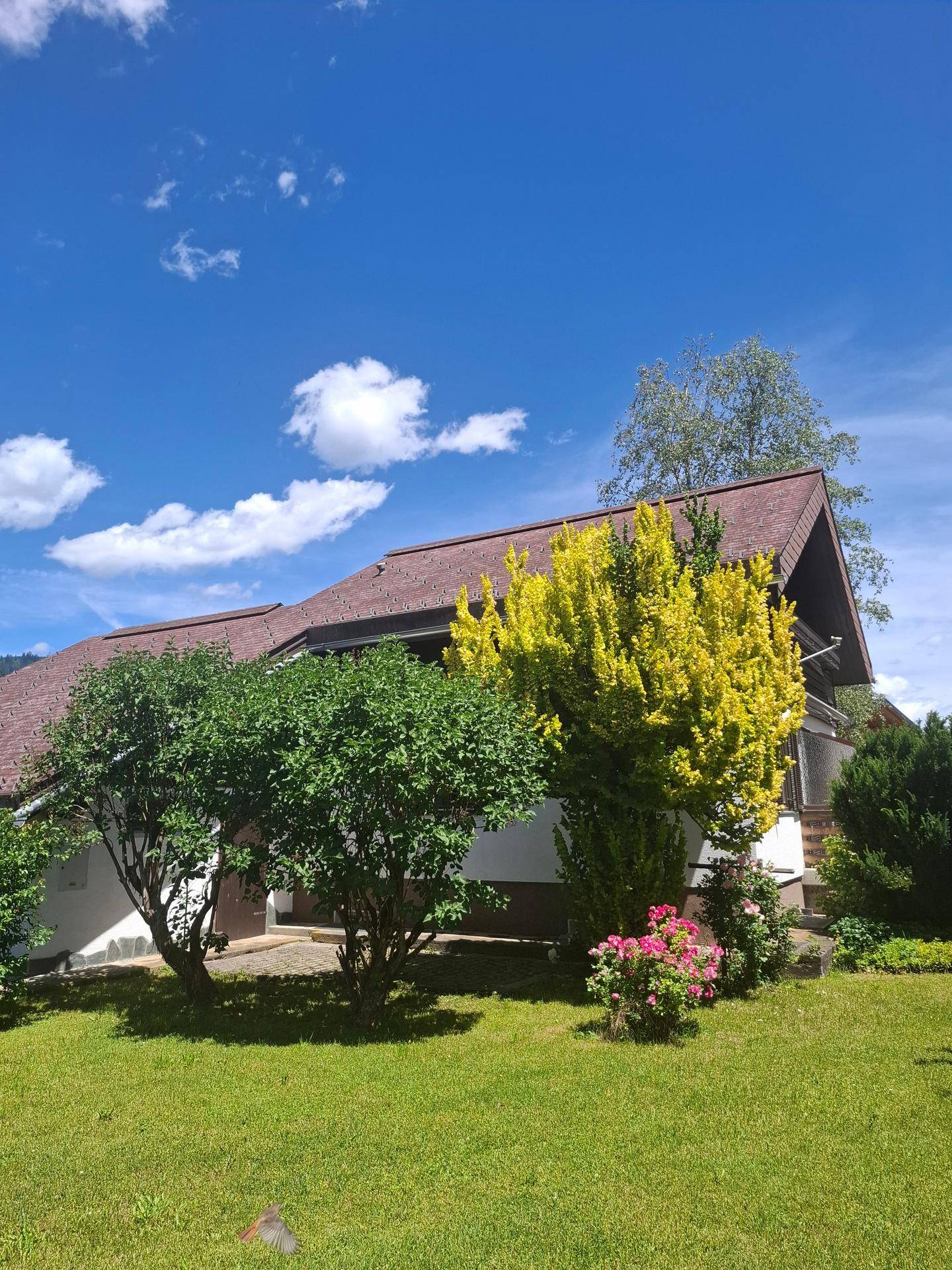 Hausansicht von der Gartenseite mit verschiedenen Sträuchern und Bäumen unter strahlend blauem Himmel.