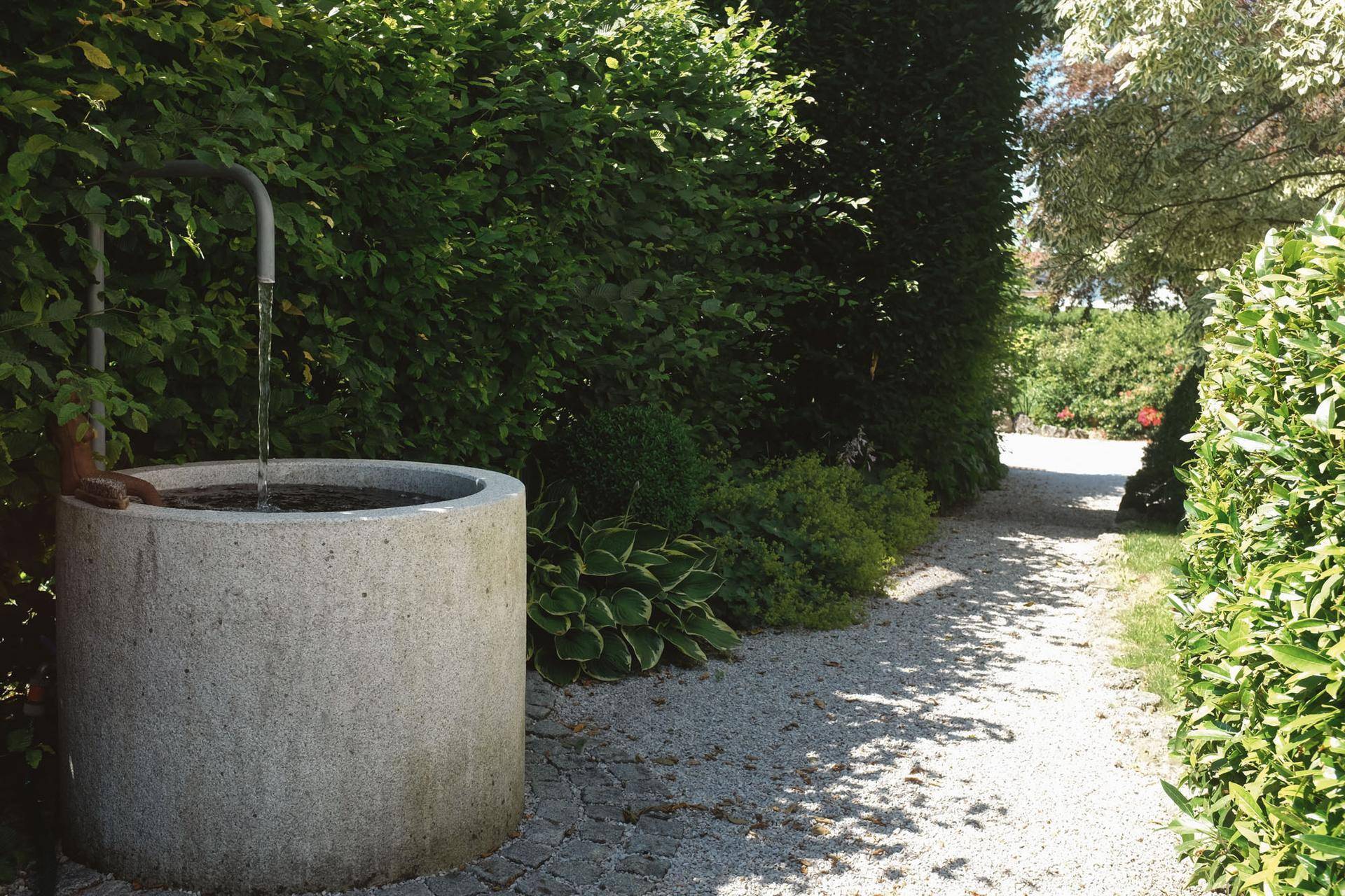 Kiesweg im Garten mit einem dekorativen Brunnen und hohen Hecken für Privatsphäre.
